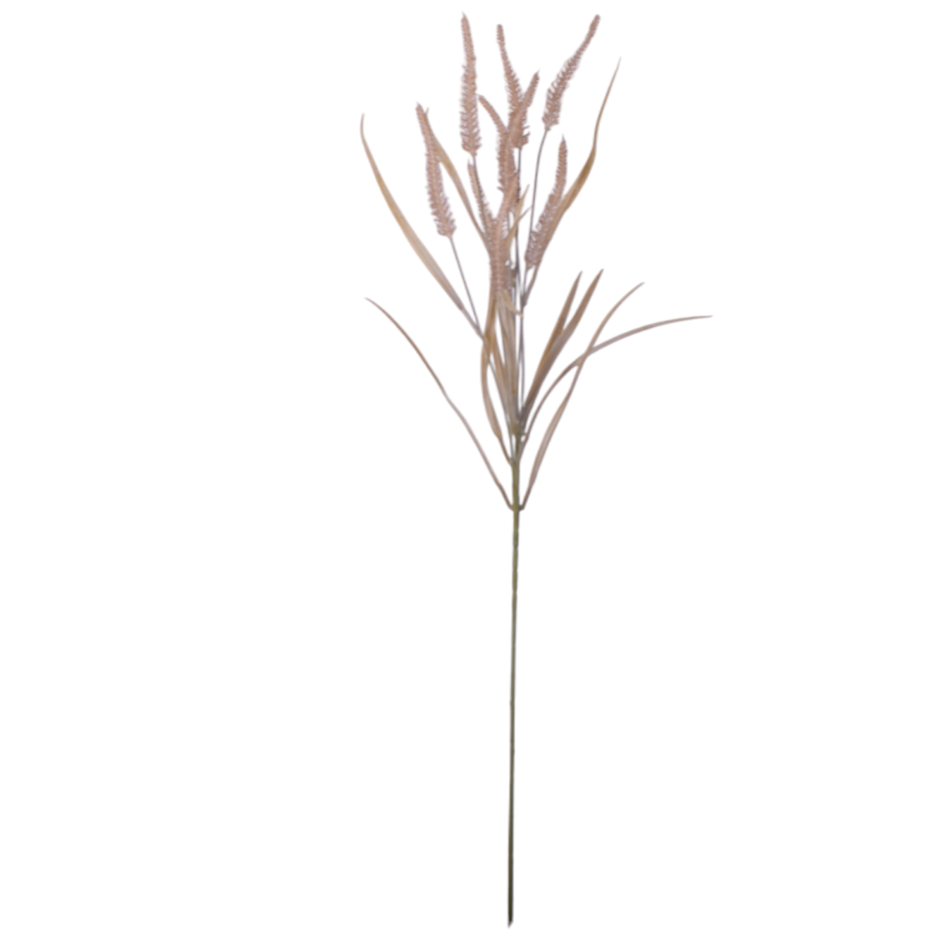 34” Brown Foxtail Stem-9 Heads ST1188