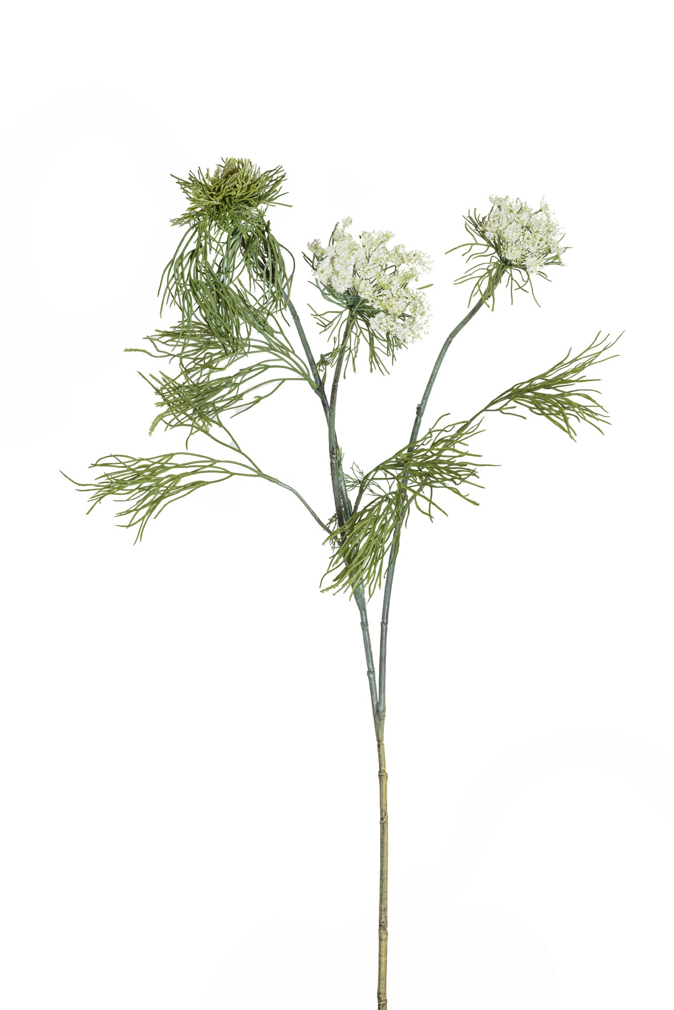 31” Queen Anne's Lace - UV ST1191UV