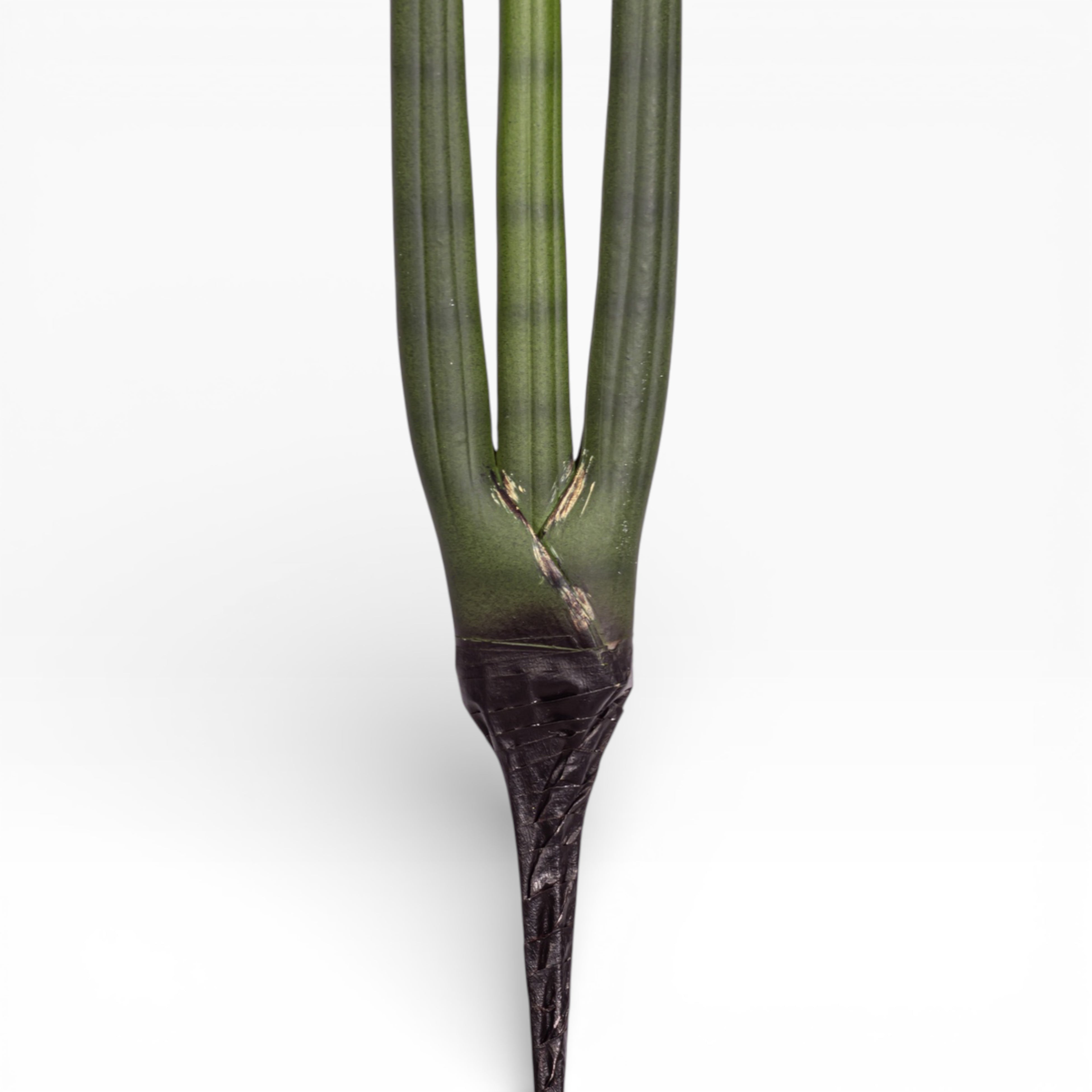 20.5" Sanseveria Stem ST1198