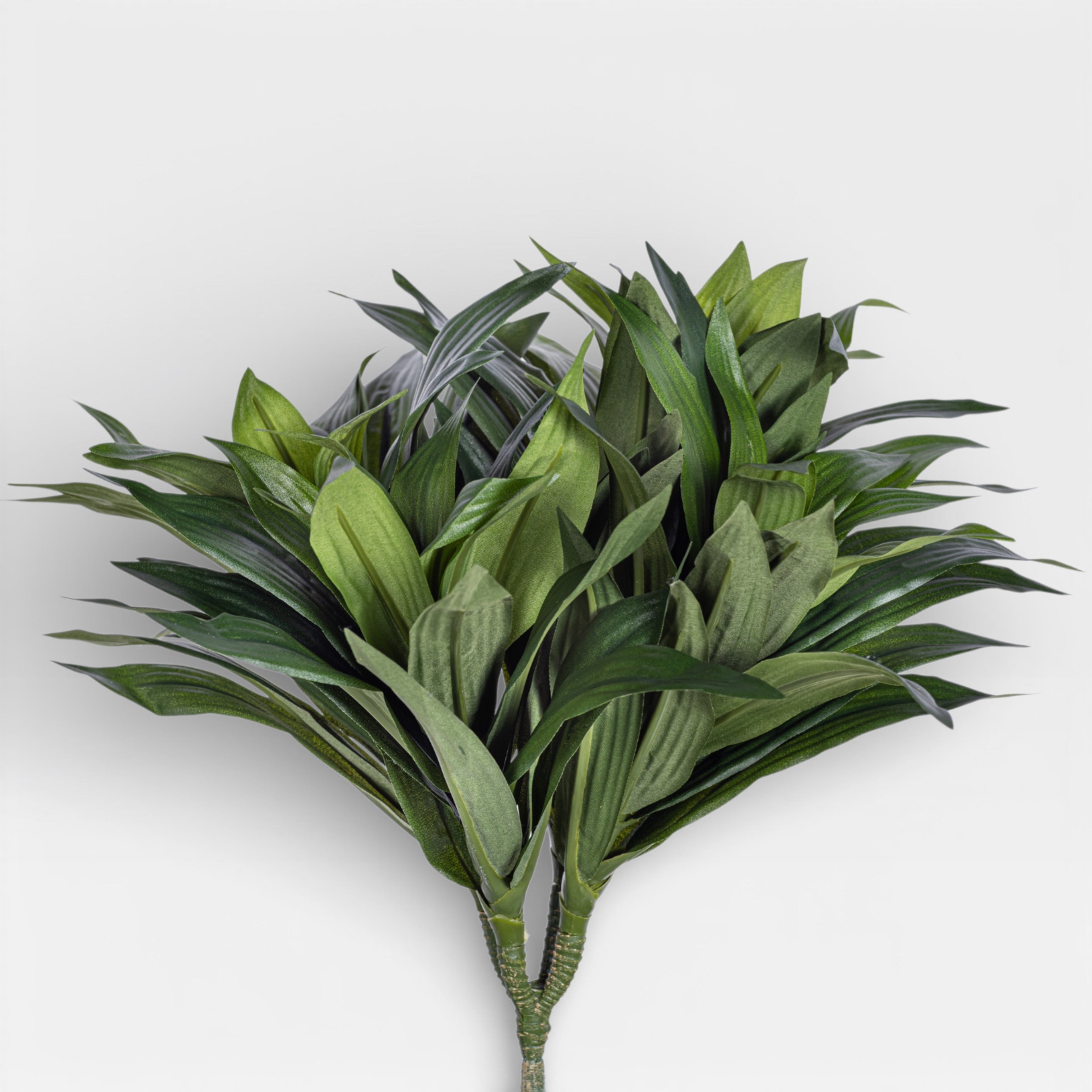 12" Dracaena Fragans Stem ST1200