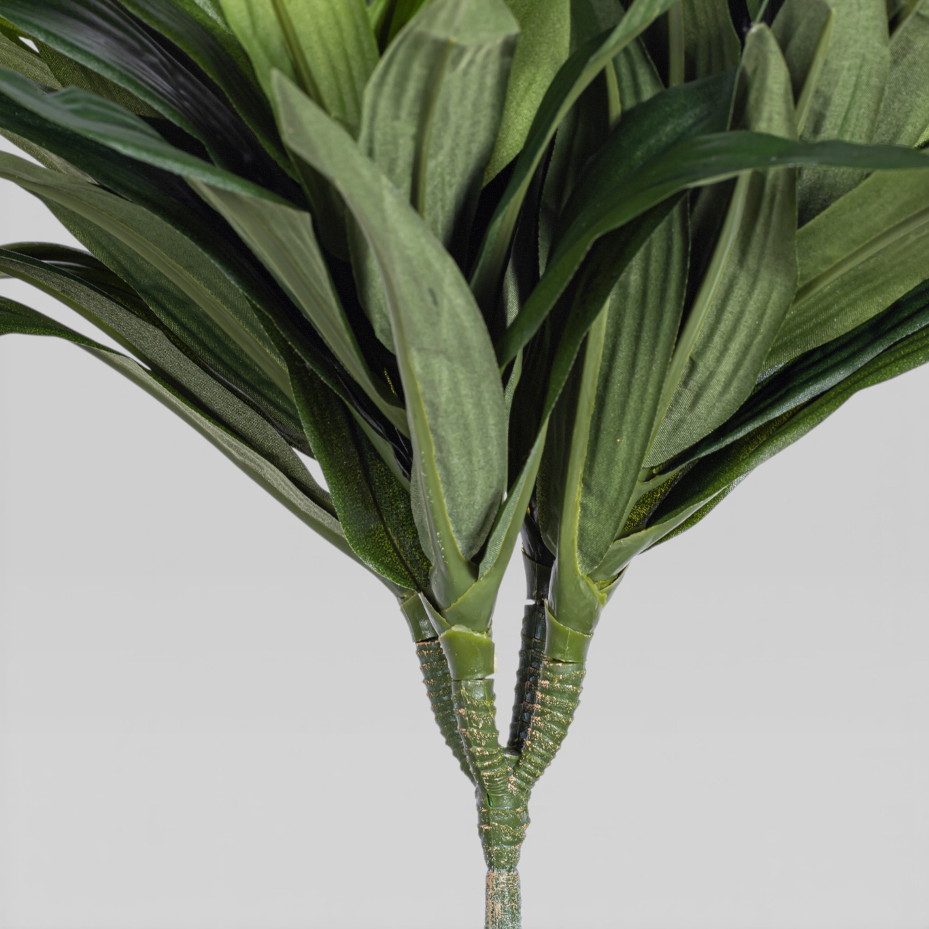 12" Dracaena Fragans Stem ST1200