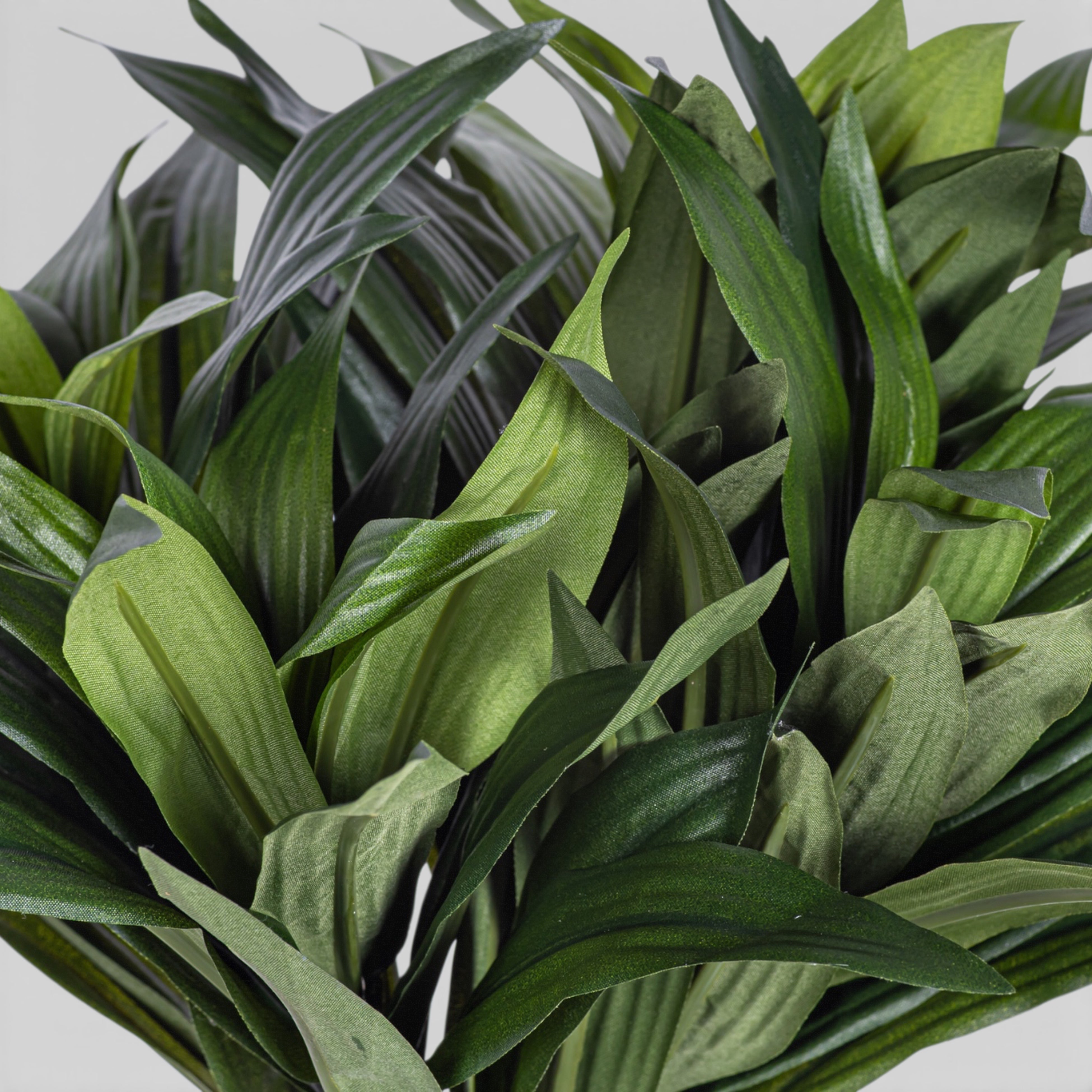 12" Dracaena Fragans Stem ST1200