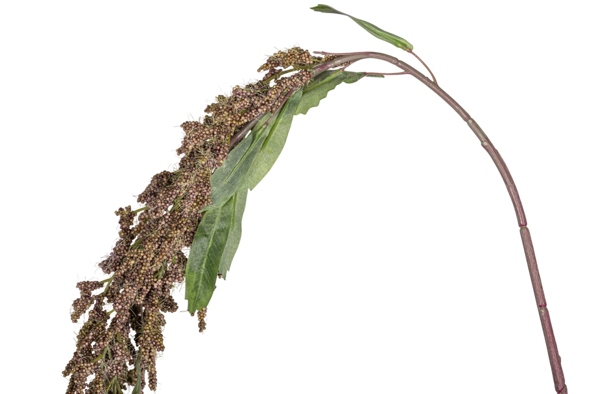 56" Amaranthus Stem - Brown ST1201
