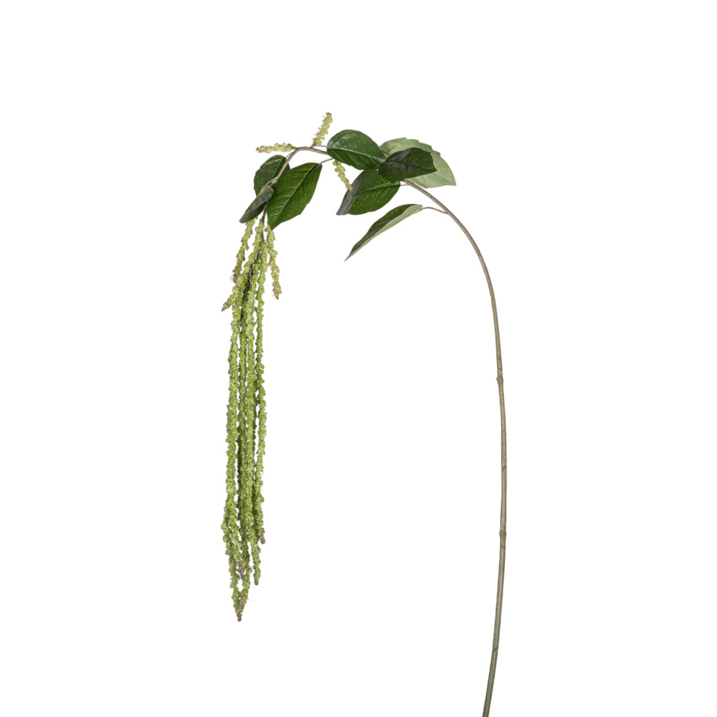44" Amaranthus Spray Stem - Green ST1202