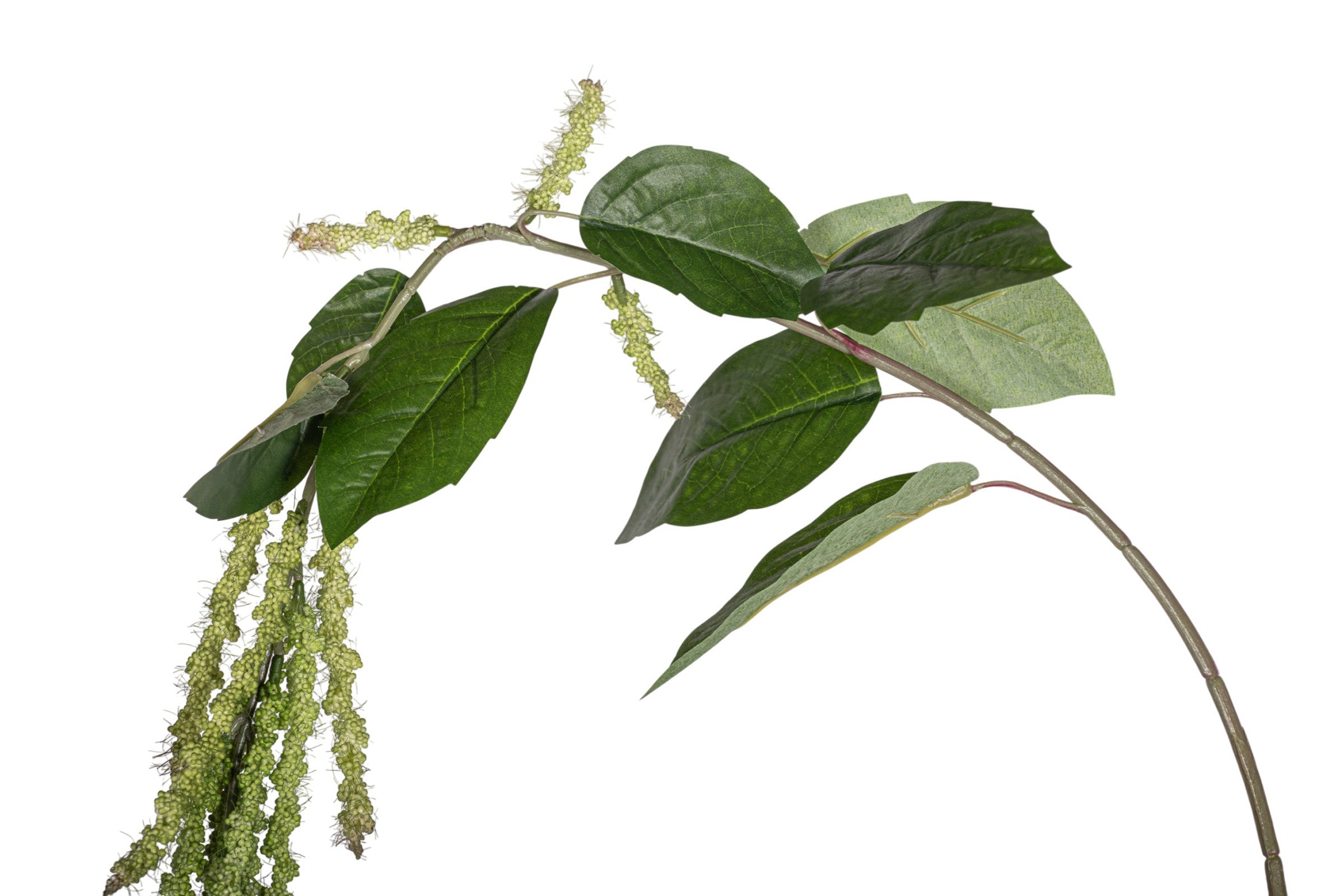 44" Amaranthus Spray Stem - Green ST1202