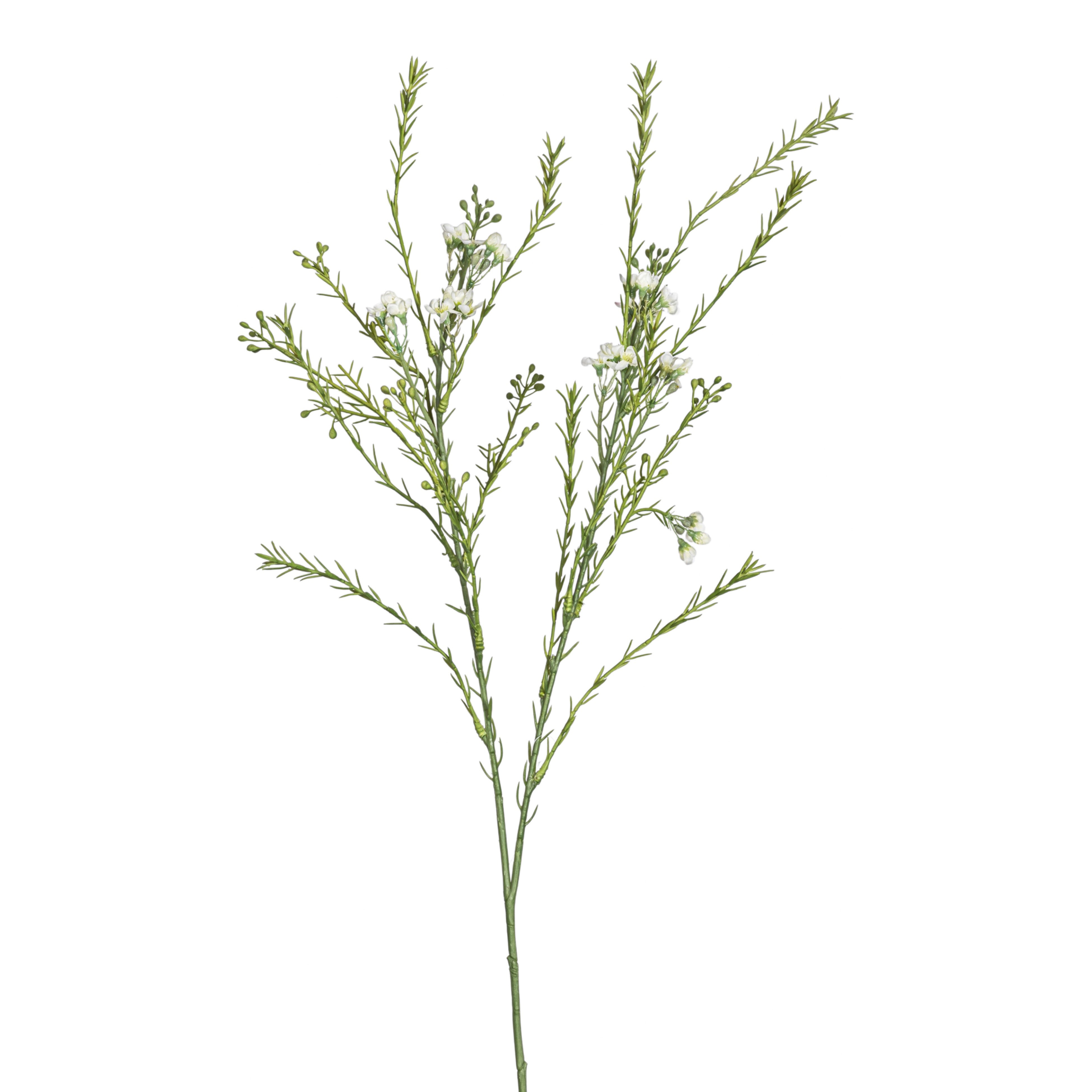 29" Myrtle Stem ST1203