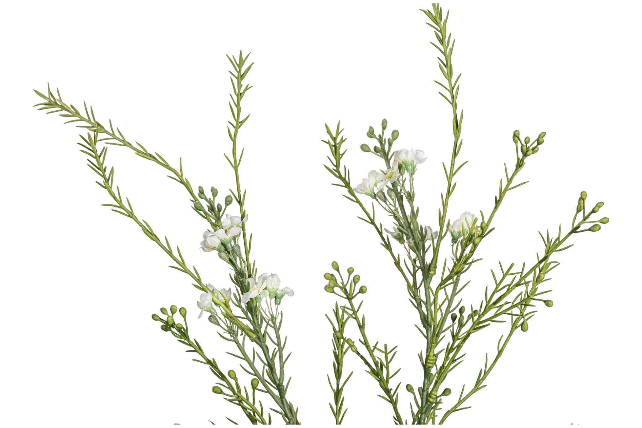 29" Myrtle Stem ST1203