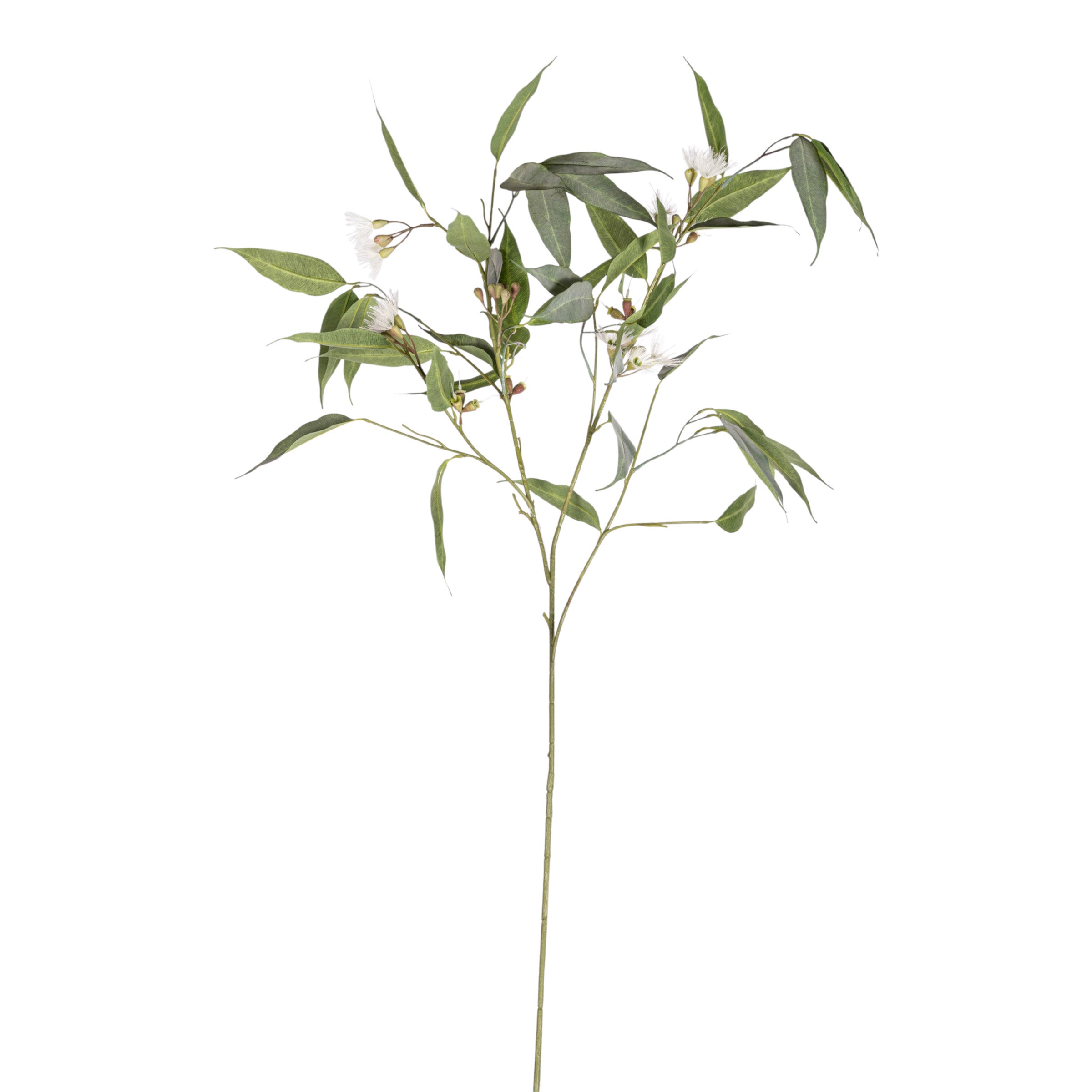 54" Eucalyptus Stem with Flowers ST1207