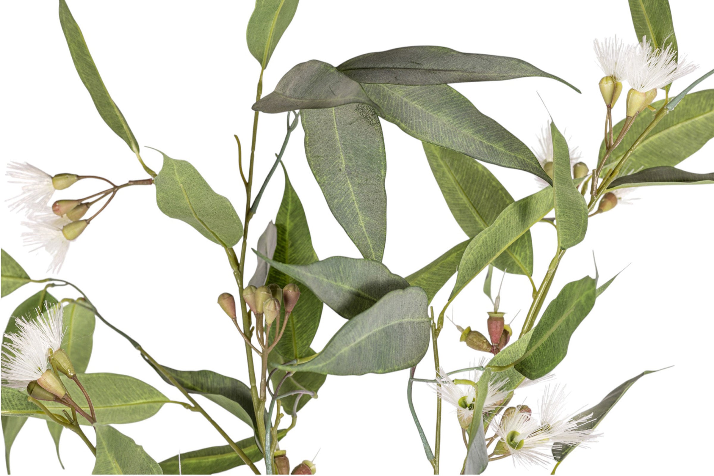 54" Eucalyptus Stem with Flowers ST1207