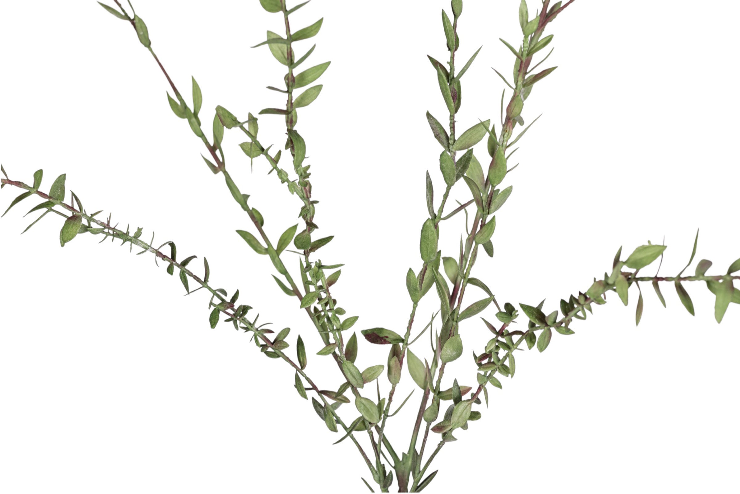52" Eucalyptus Spray Stem ST1218
