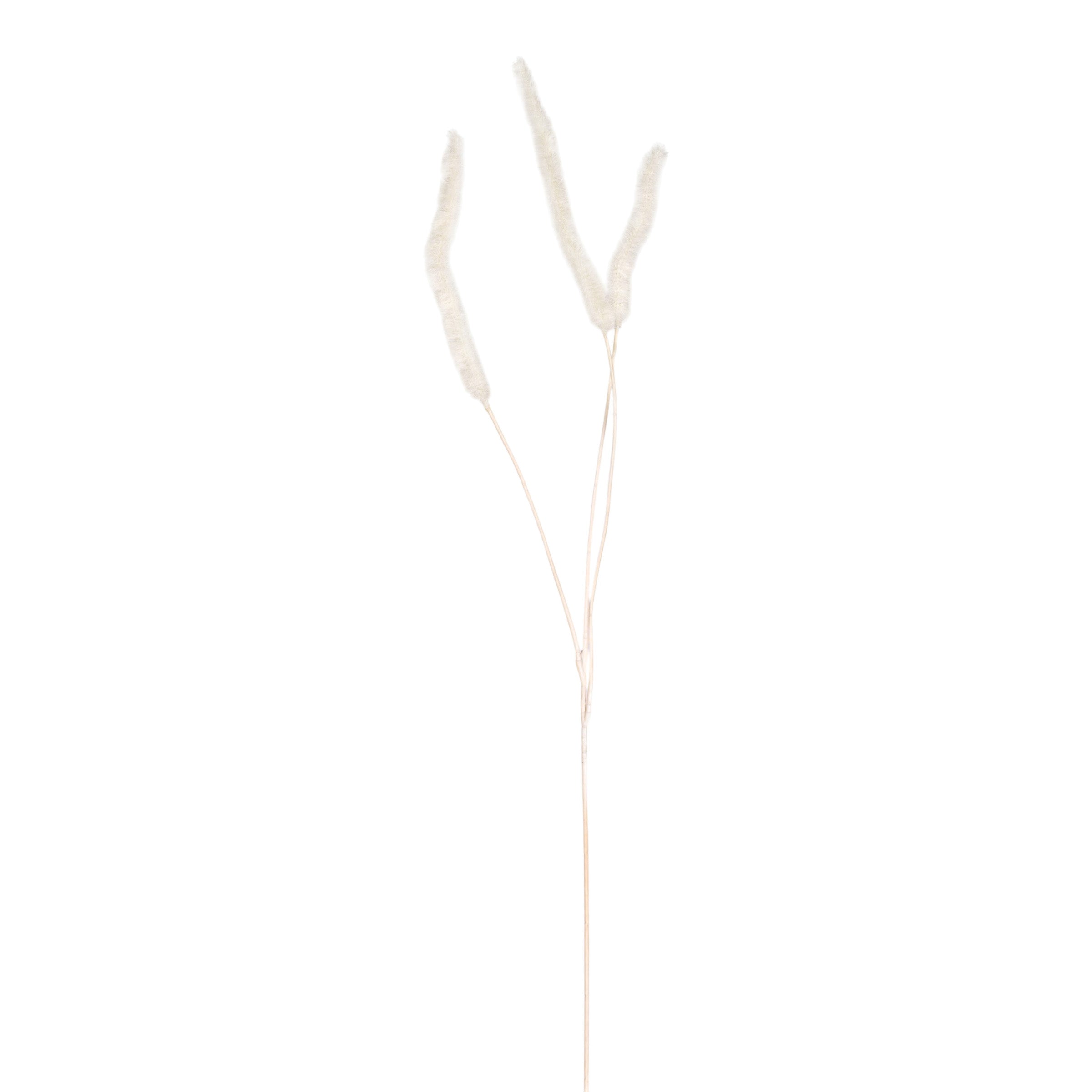 40" Foxtail Grass - White ST1224