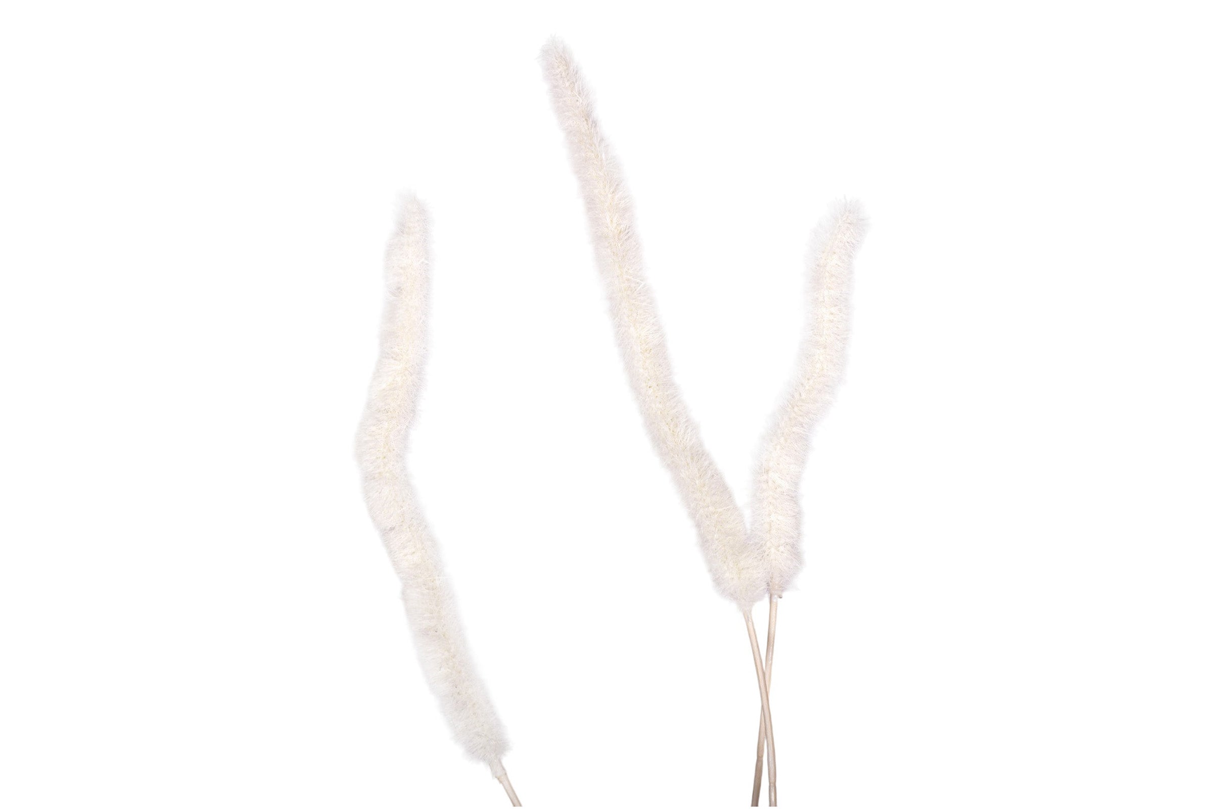 40" Foxtail Grass - White ST1224