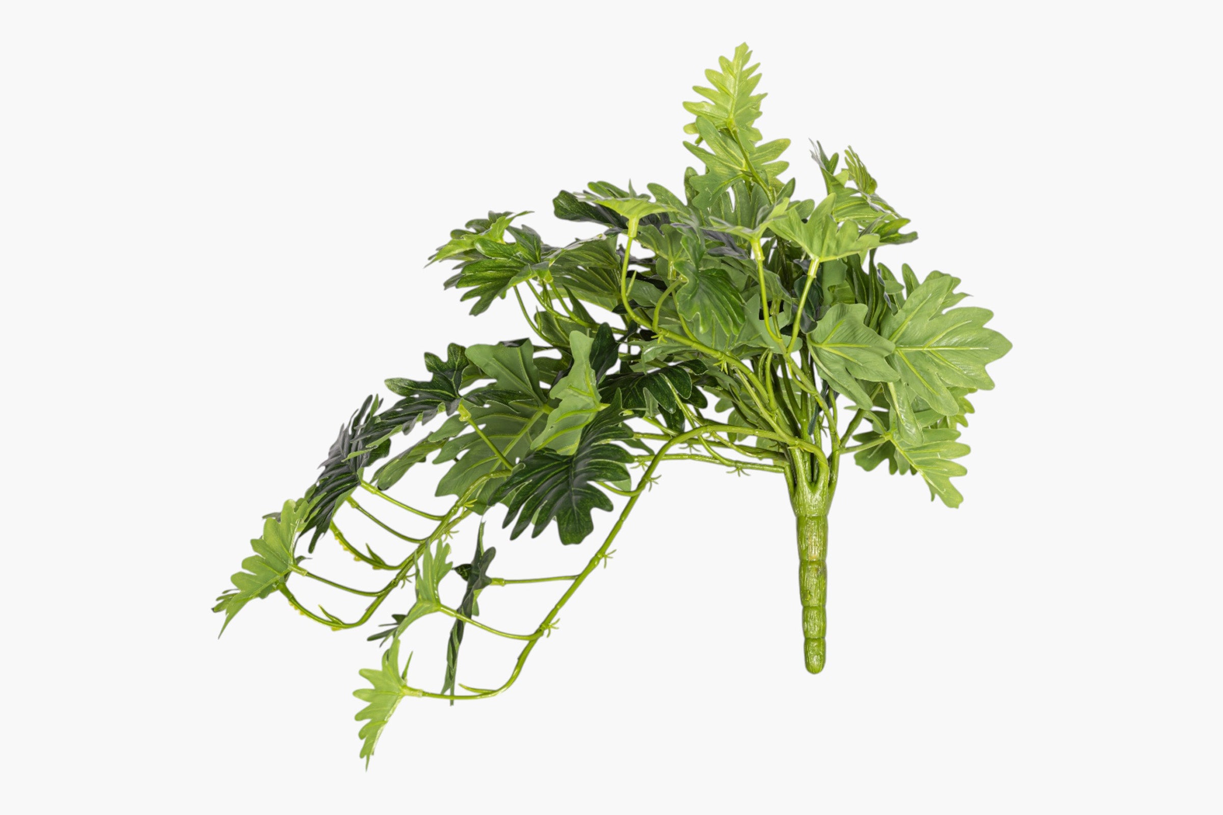 19" Selloum Philodendron Hanging Stem - UV Treated ST1233UV