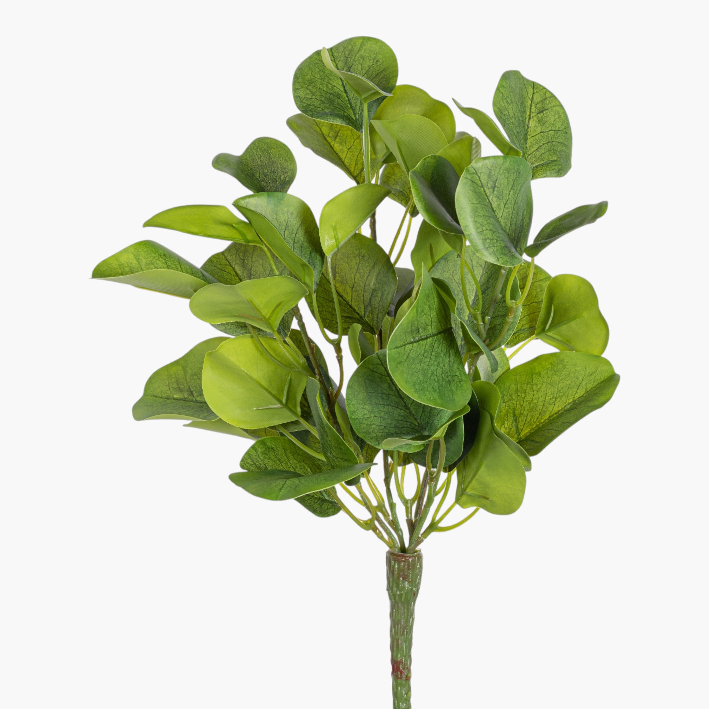 13" Eucalyptus Bush Stem ST1245