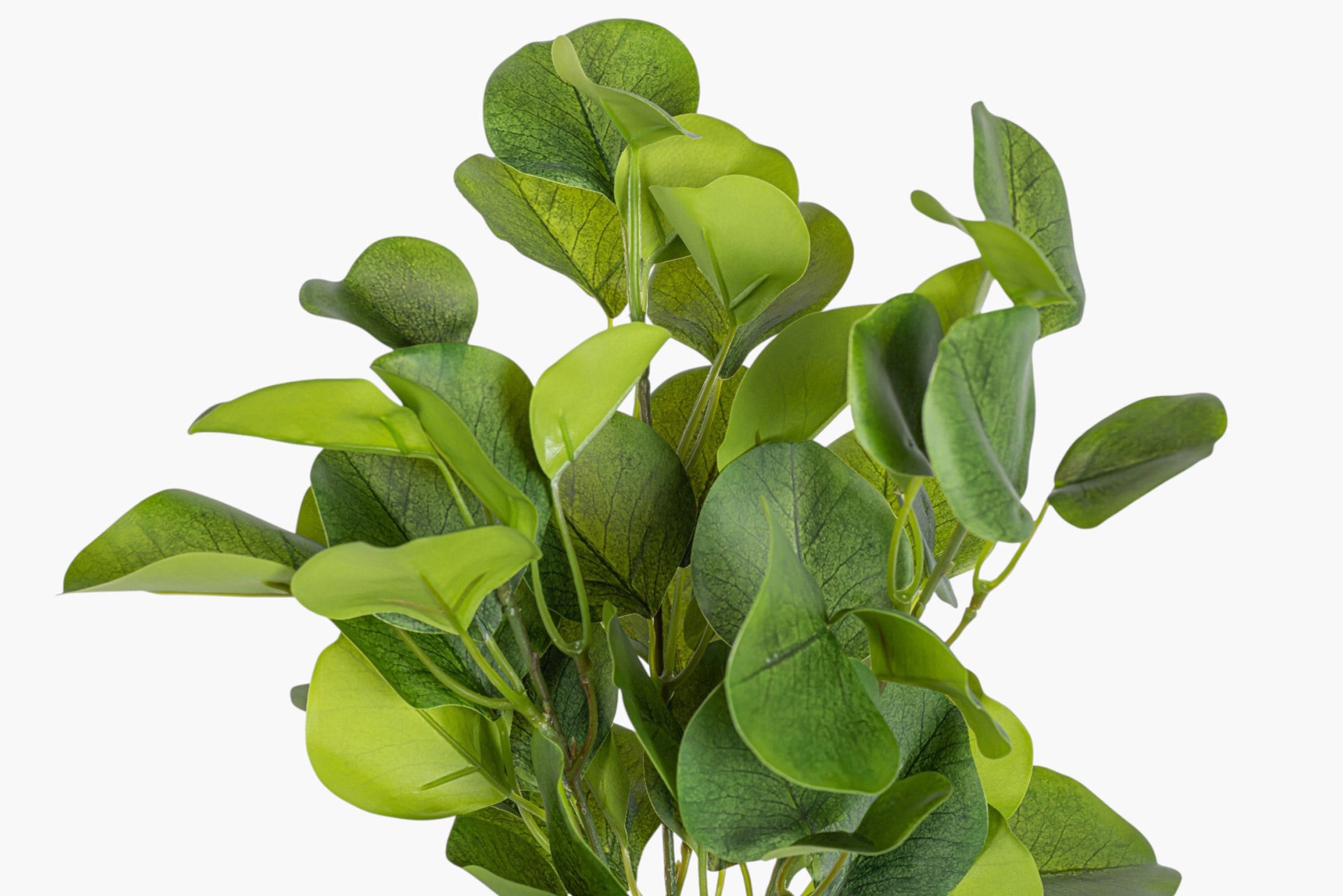 13" Eucalyptus Bush Stem ST1245