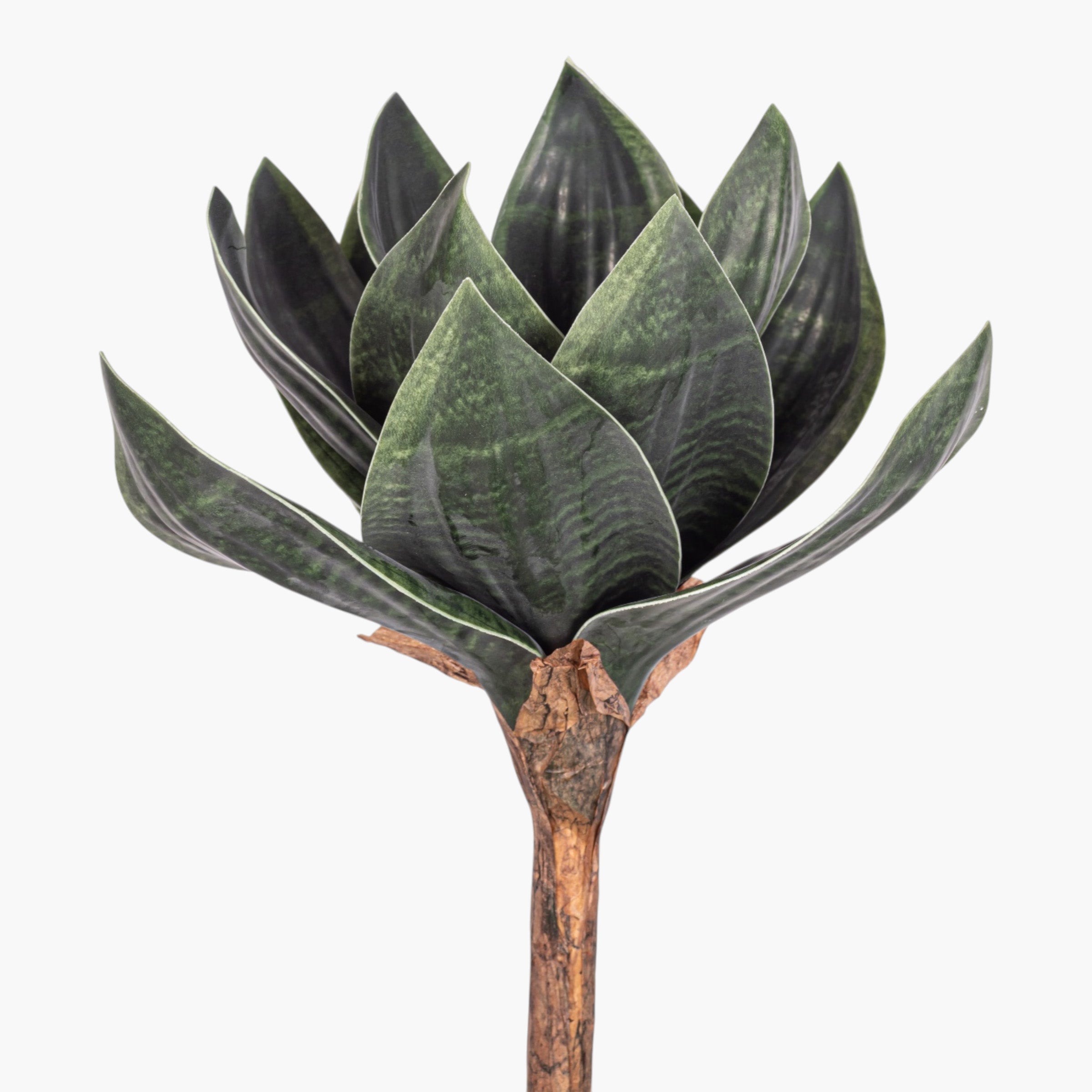 11" Sansevieria Stem ST1253