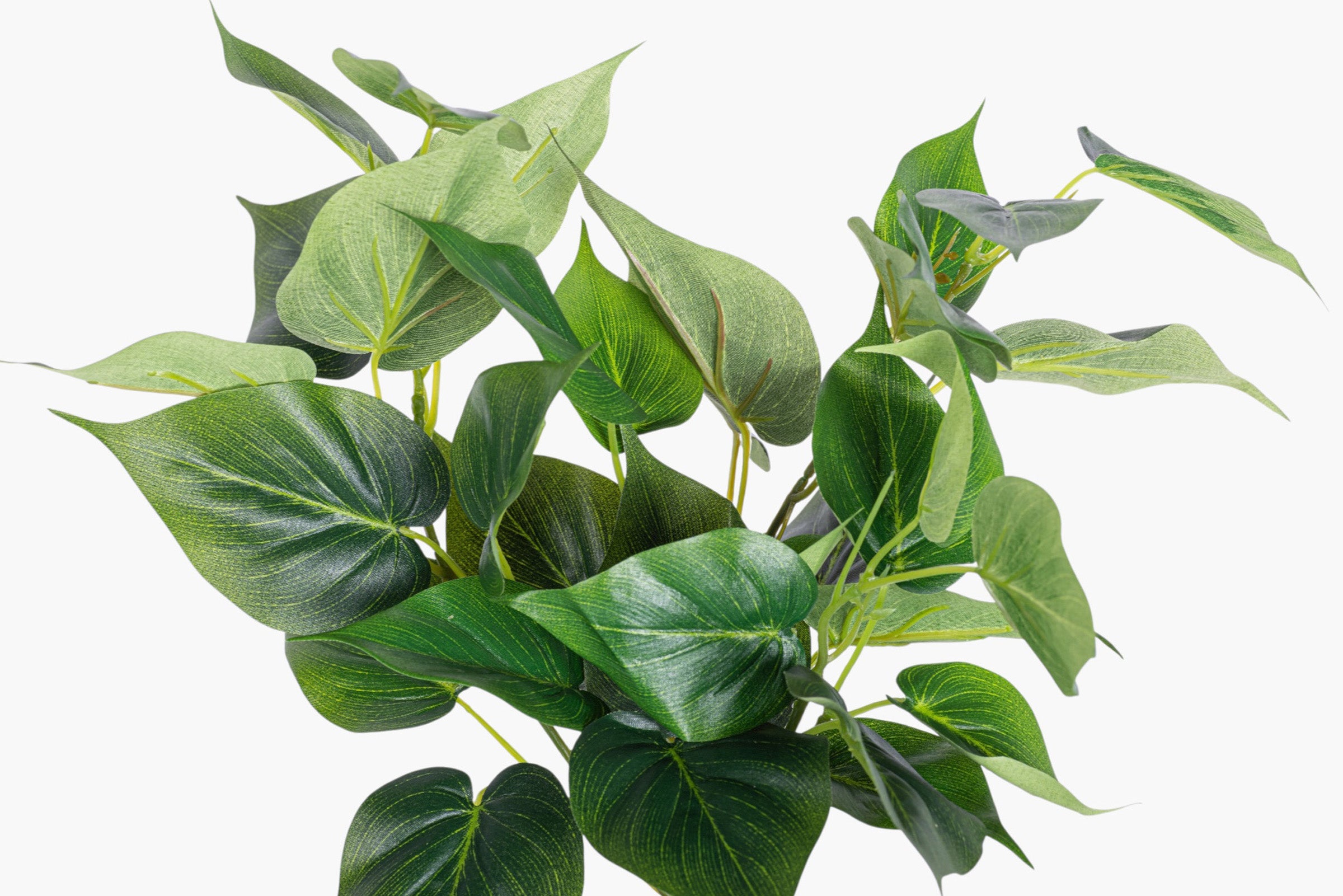 13" Philodendron Leaf Bush ST1256