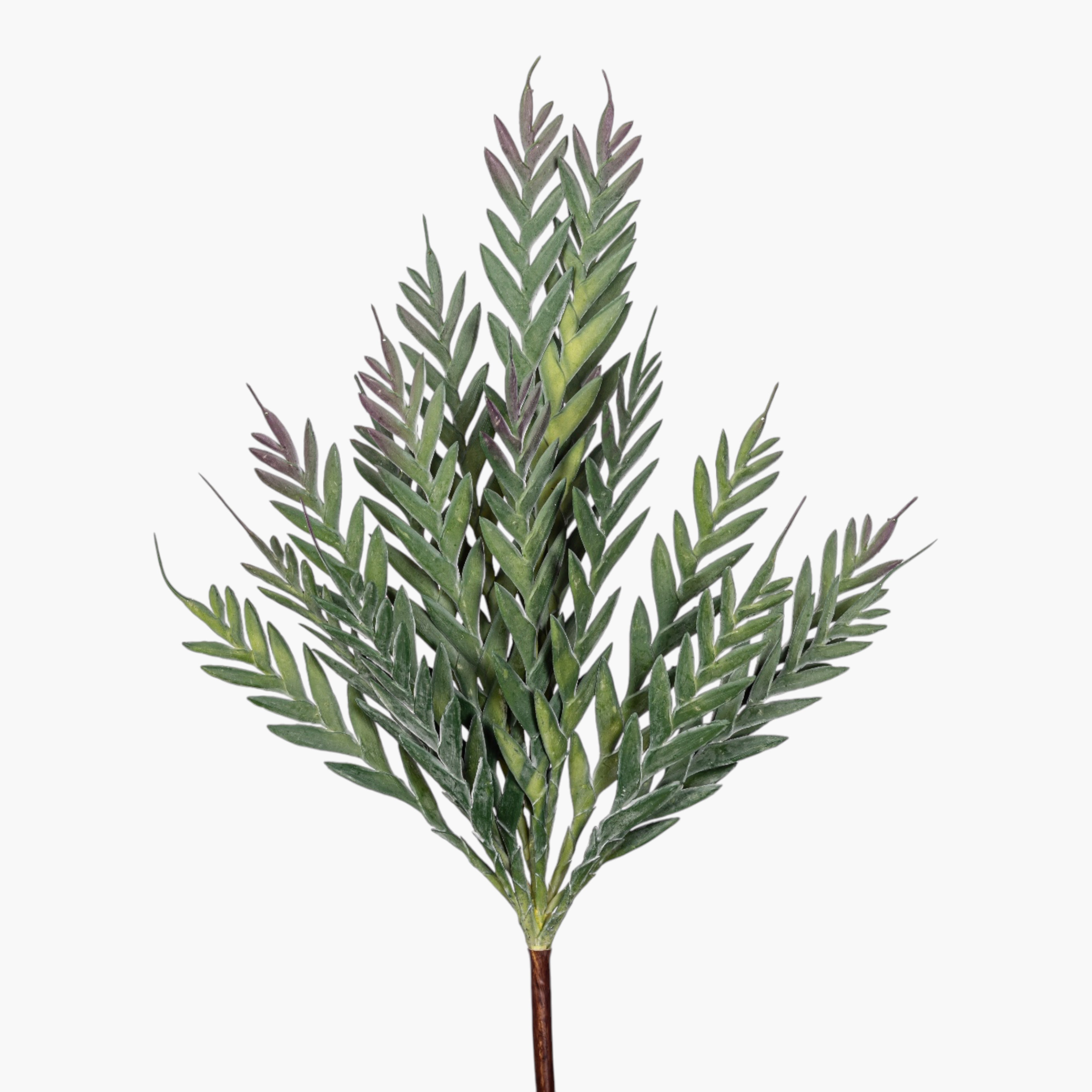 43" Grevillea Spray ST1258