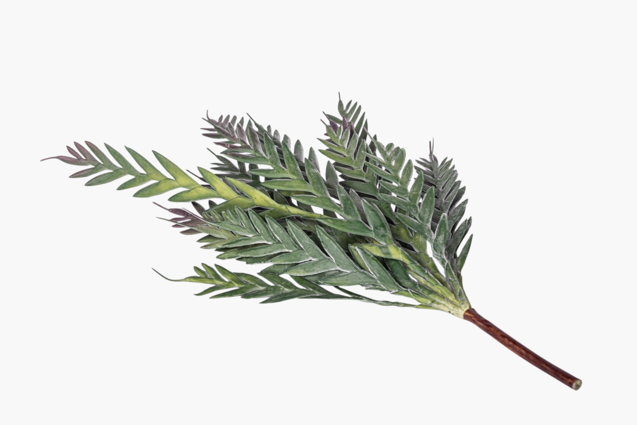 43" Grevillea Spray ST1258
