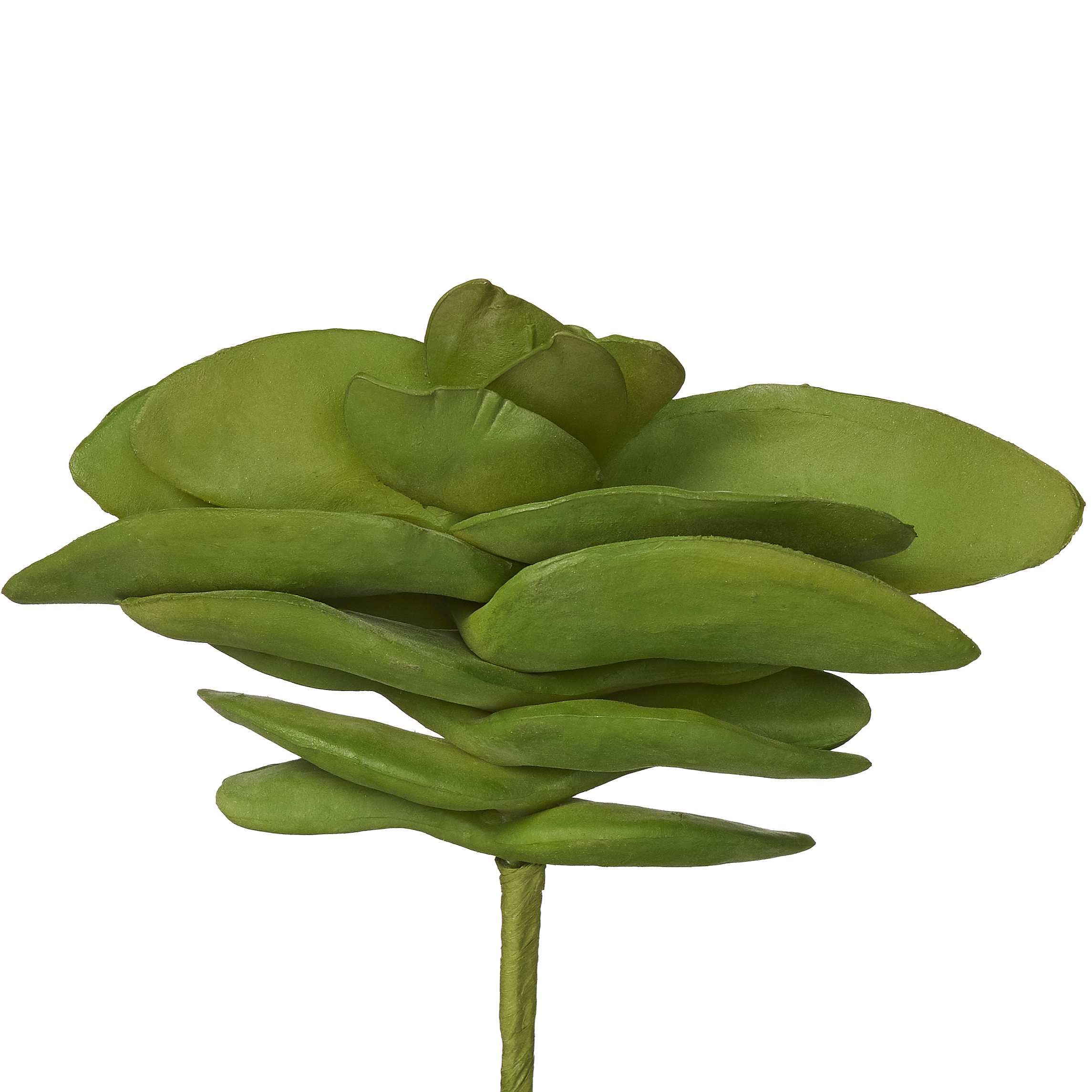 7" Succulent Pick    SU1001