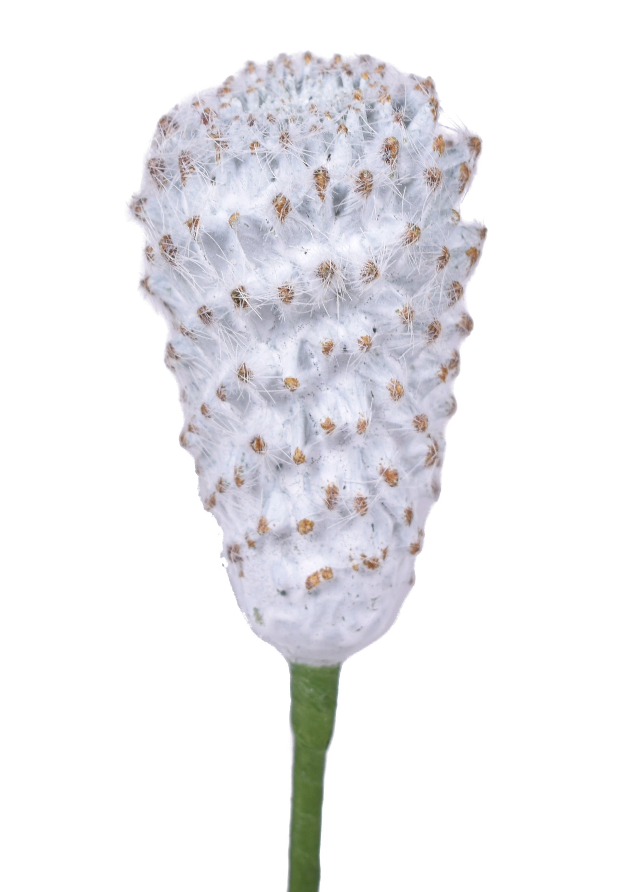 7" UV Protected Succulent Pick SU1072UV