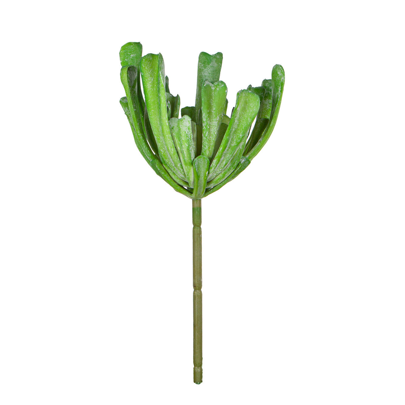 13" Green Succulent Stem  SU1076
