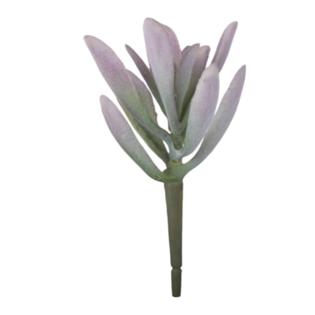 7” Pink/Green Succulent SU1077