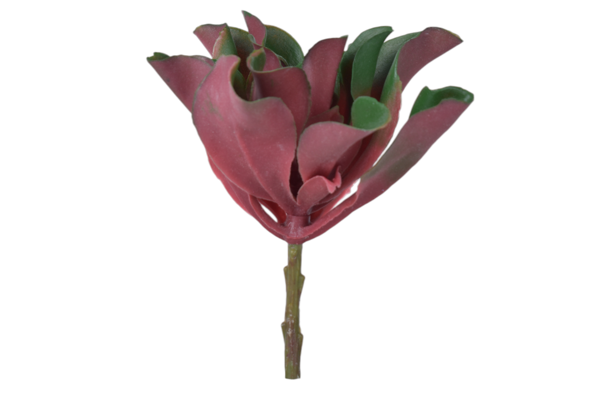 7” Succulent Stem SU1078