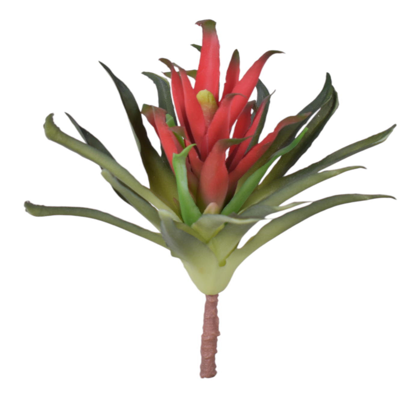 11” Red Succulent Stem SU1079