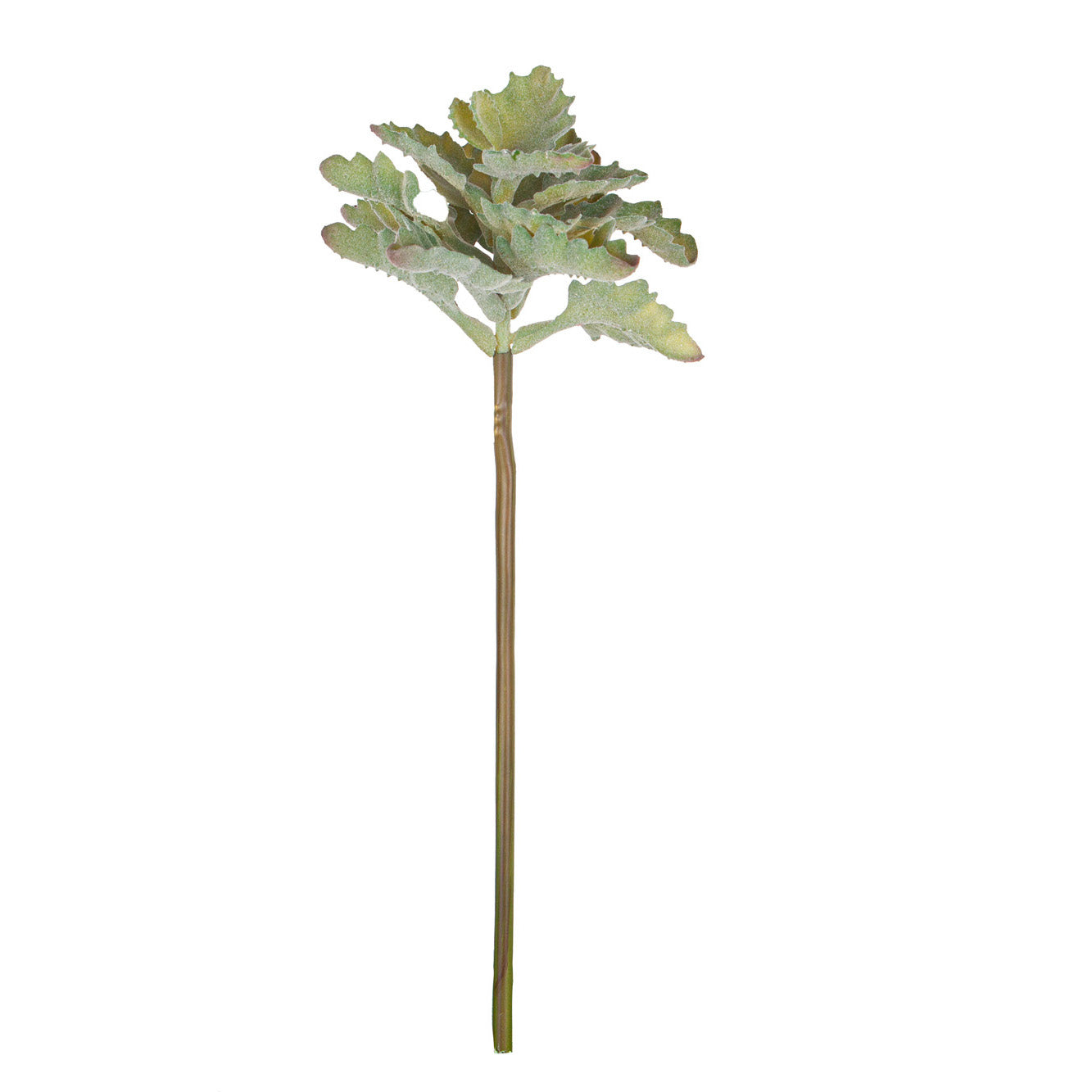 13” Succulent Stem  SU1082
