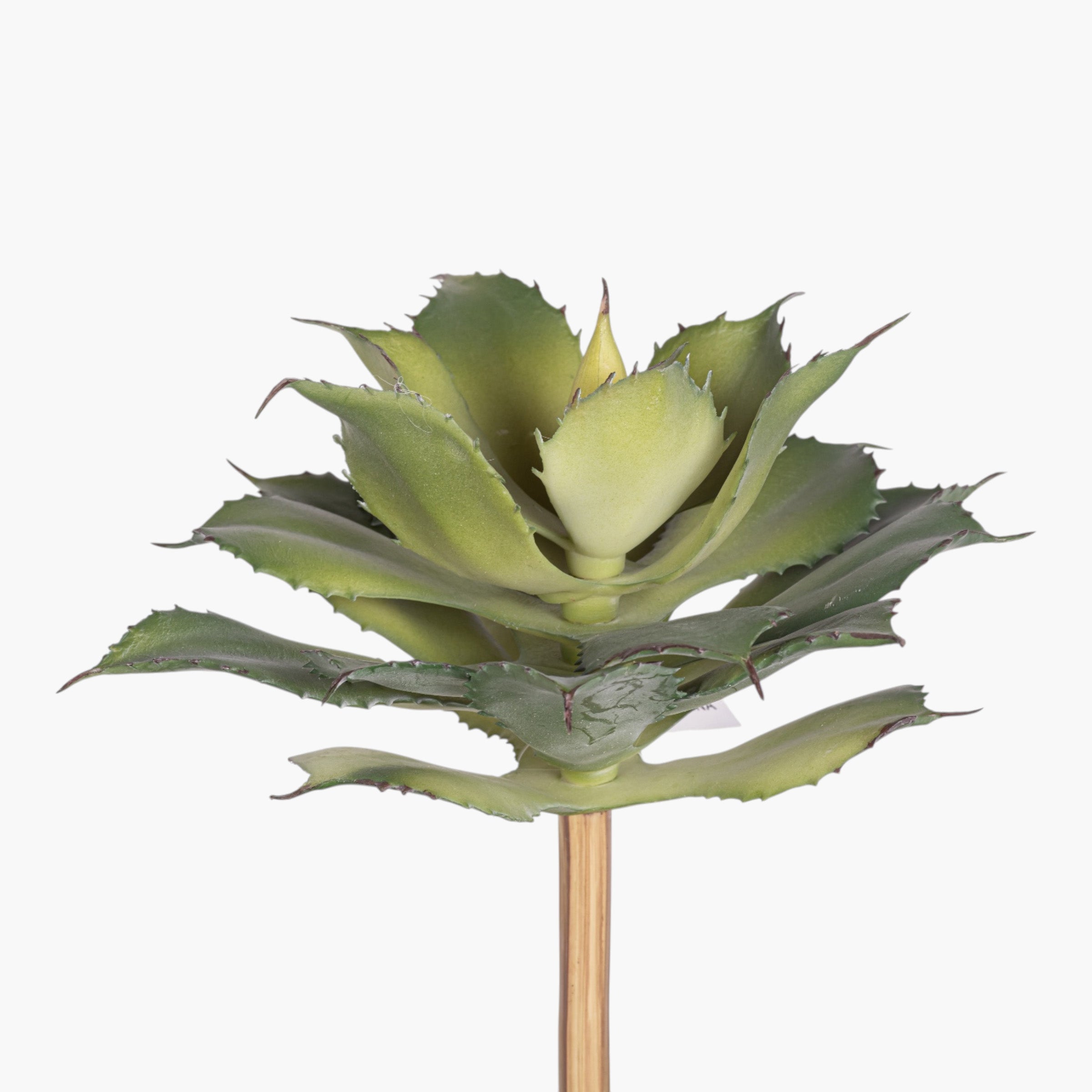 10" Succulent Stem SU1106