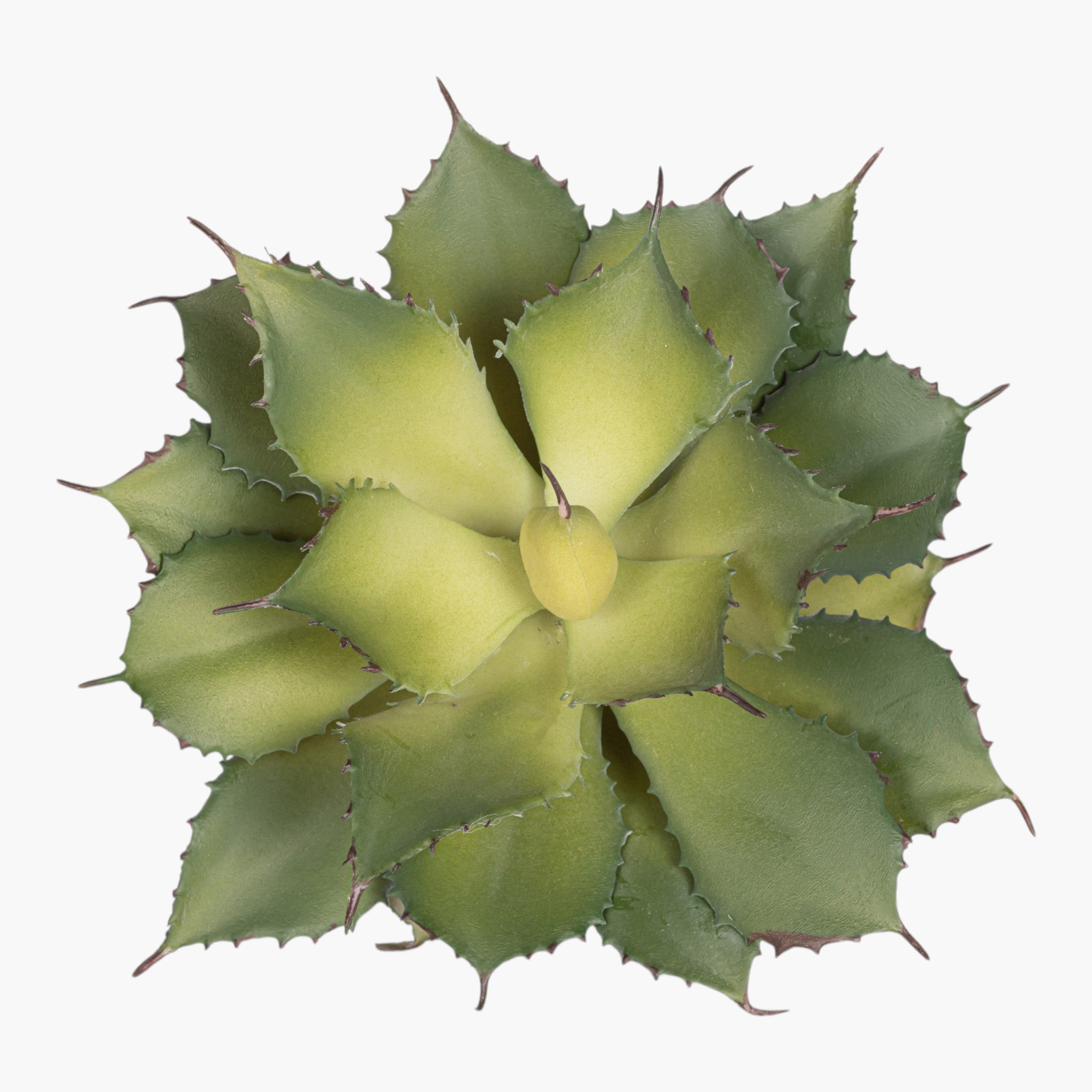 10" Succulent Stem SU1106