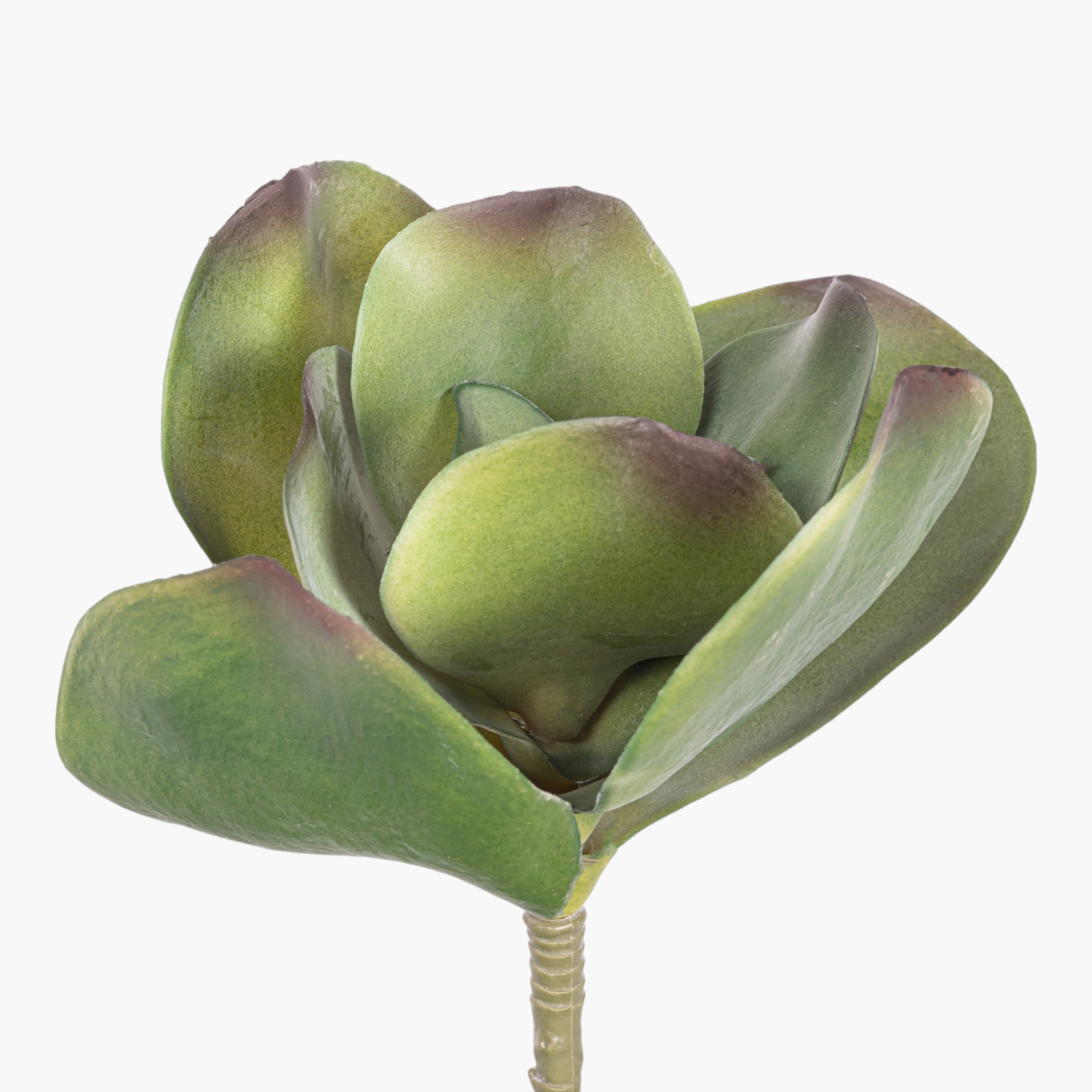 10" Succulent Stem SU1107