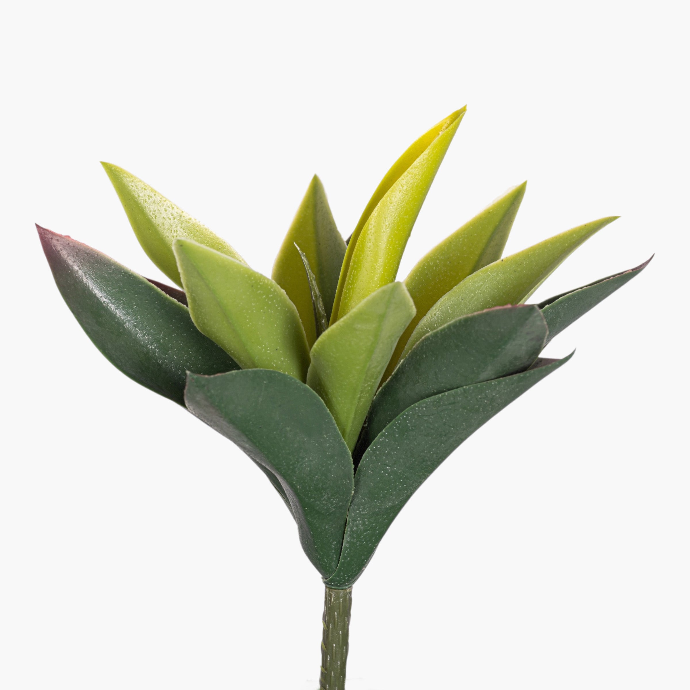 9" Agave Stem Green SU1108