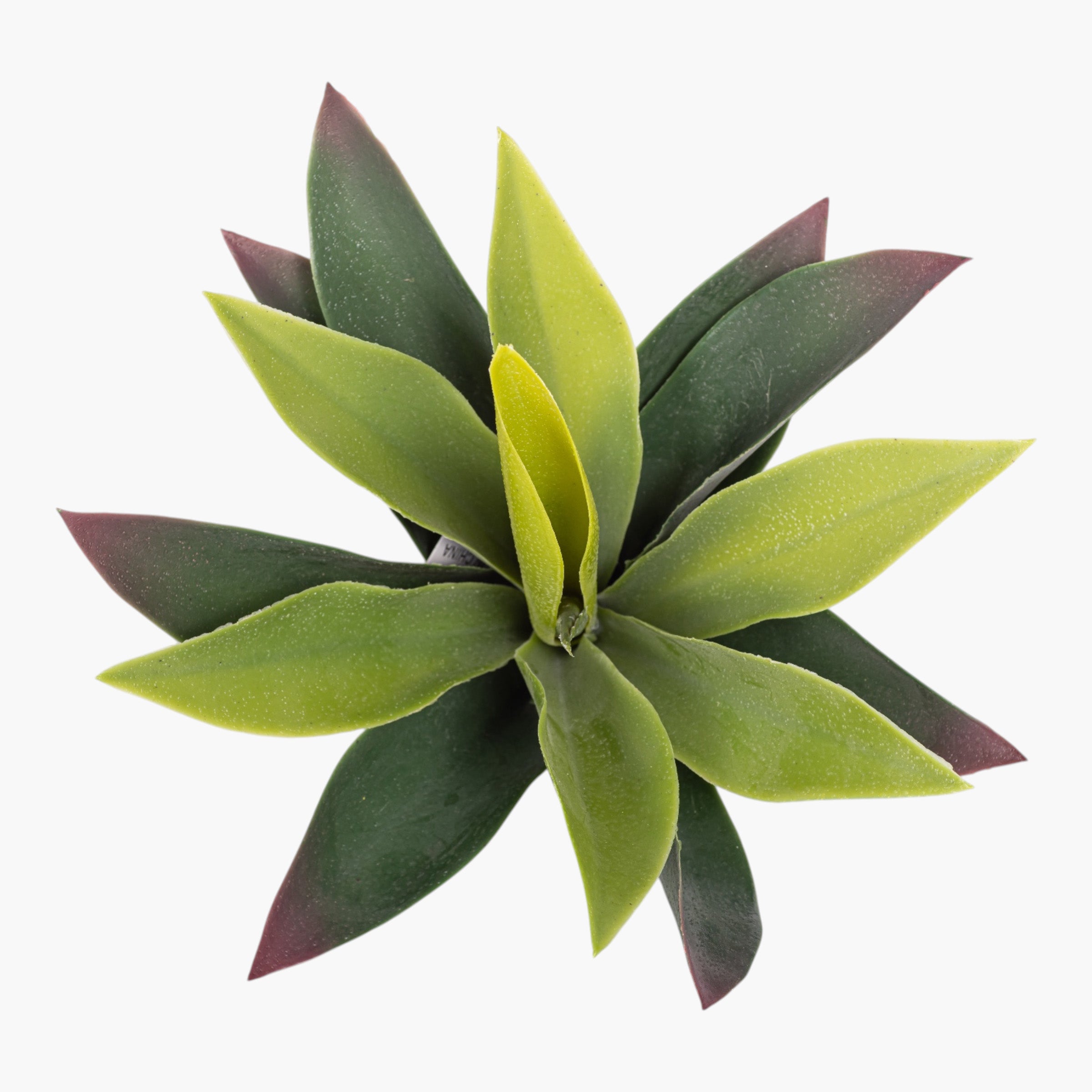 9" Agave Stem Green SU1108