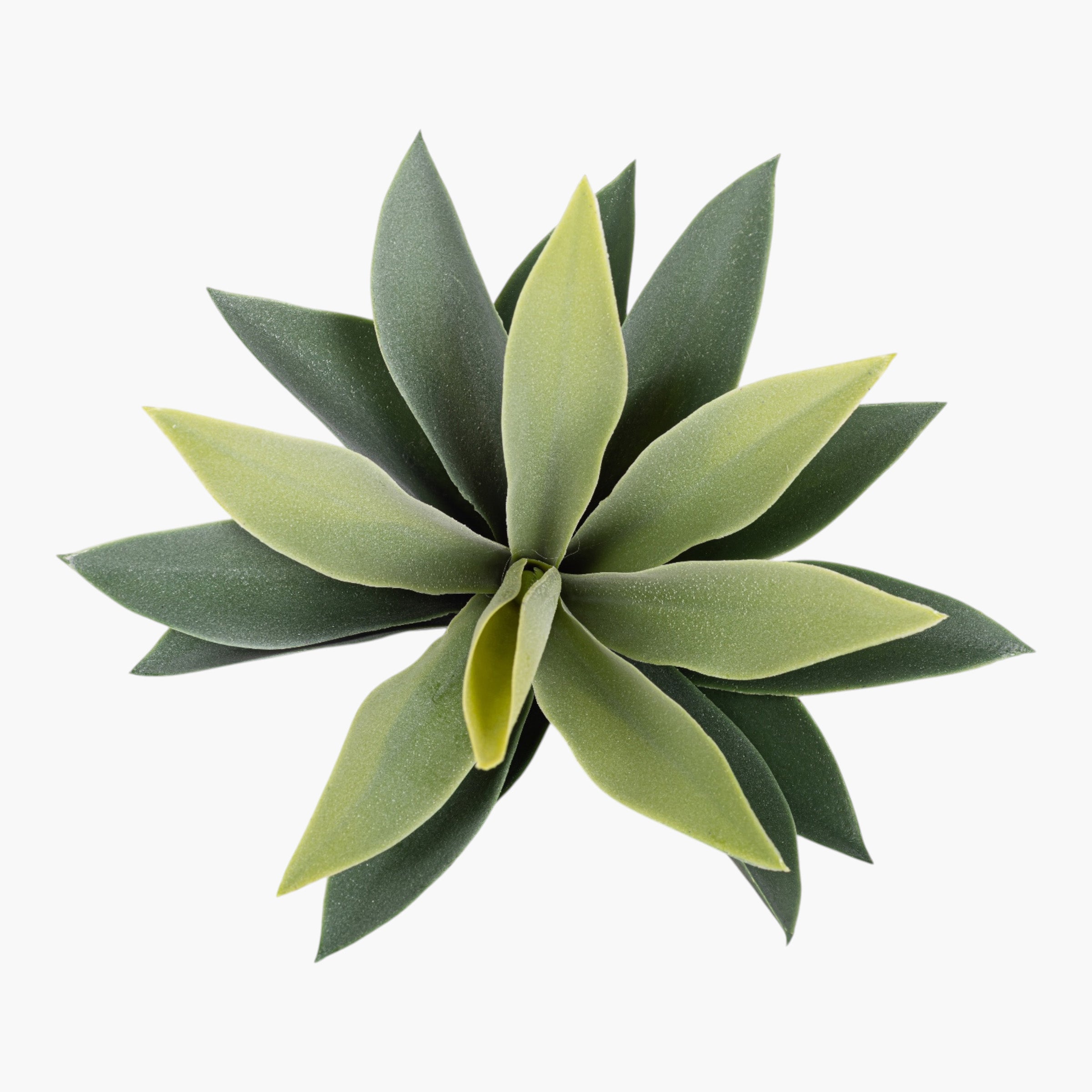 10" Agave Stem Grey/Green SU1109