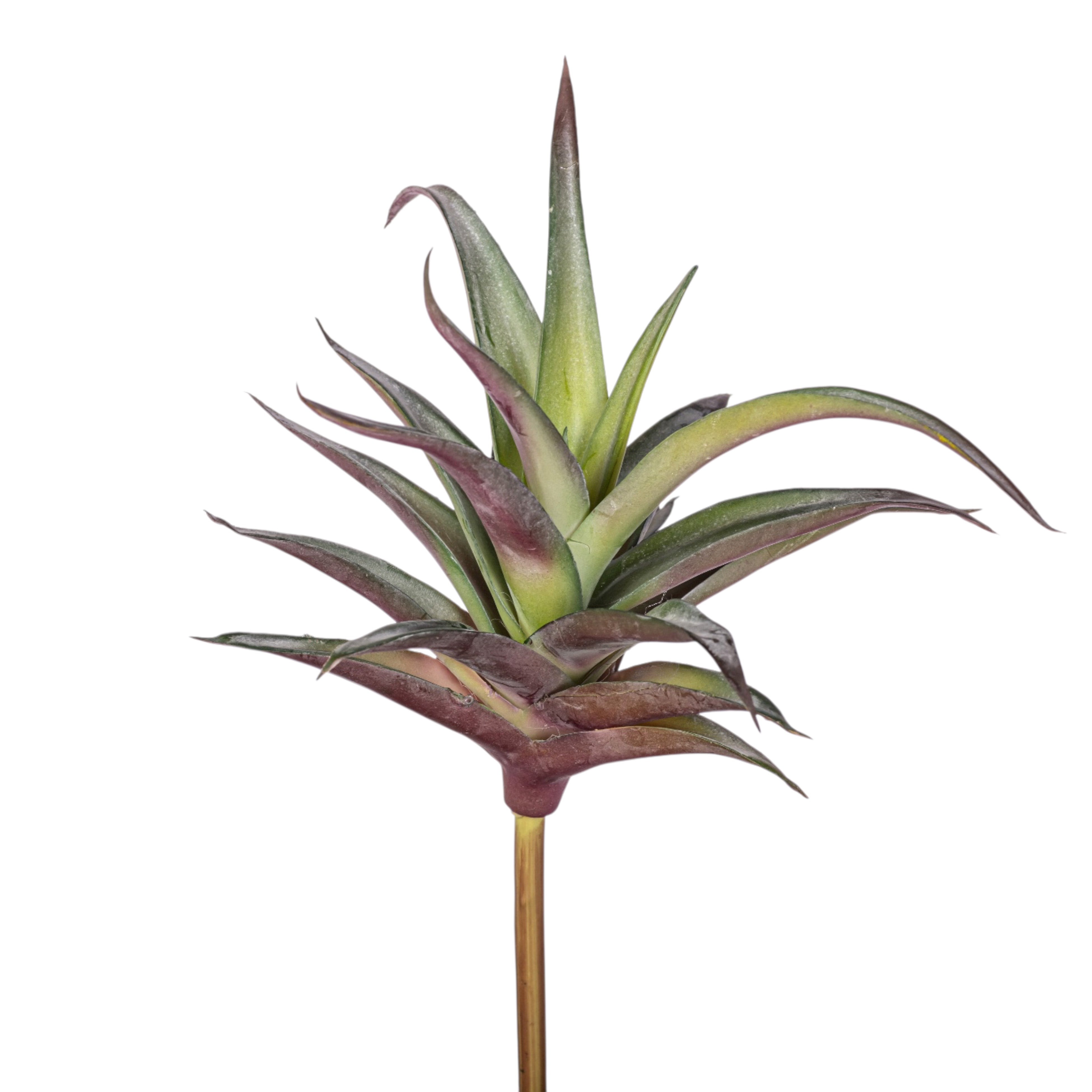 9" Succulent Stem SU1112