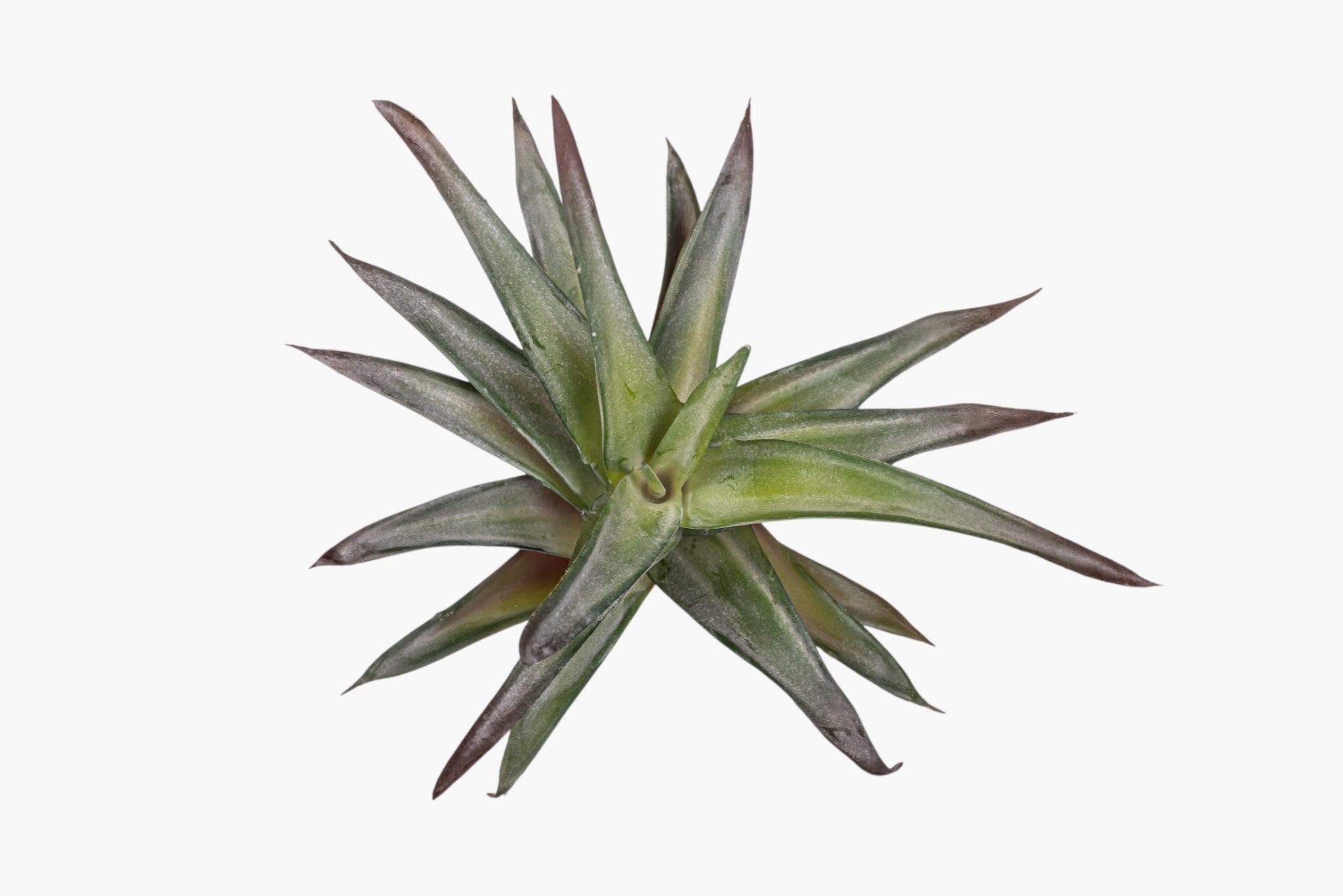 9" Succulent Stem SU1112