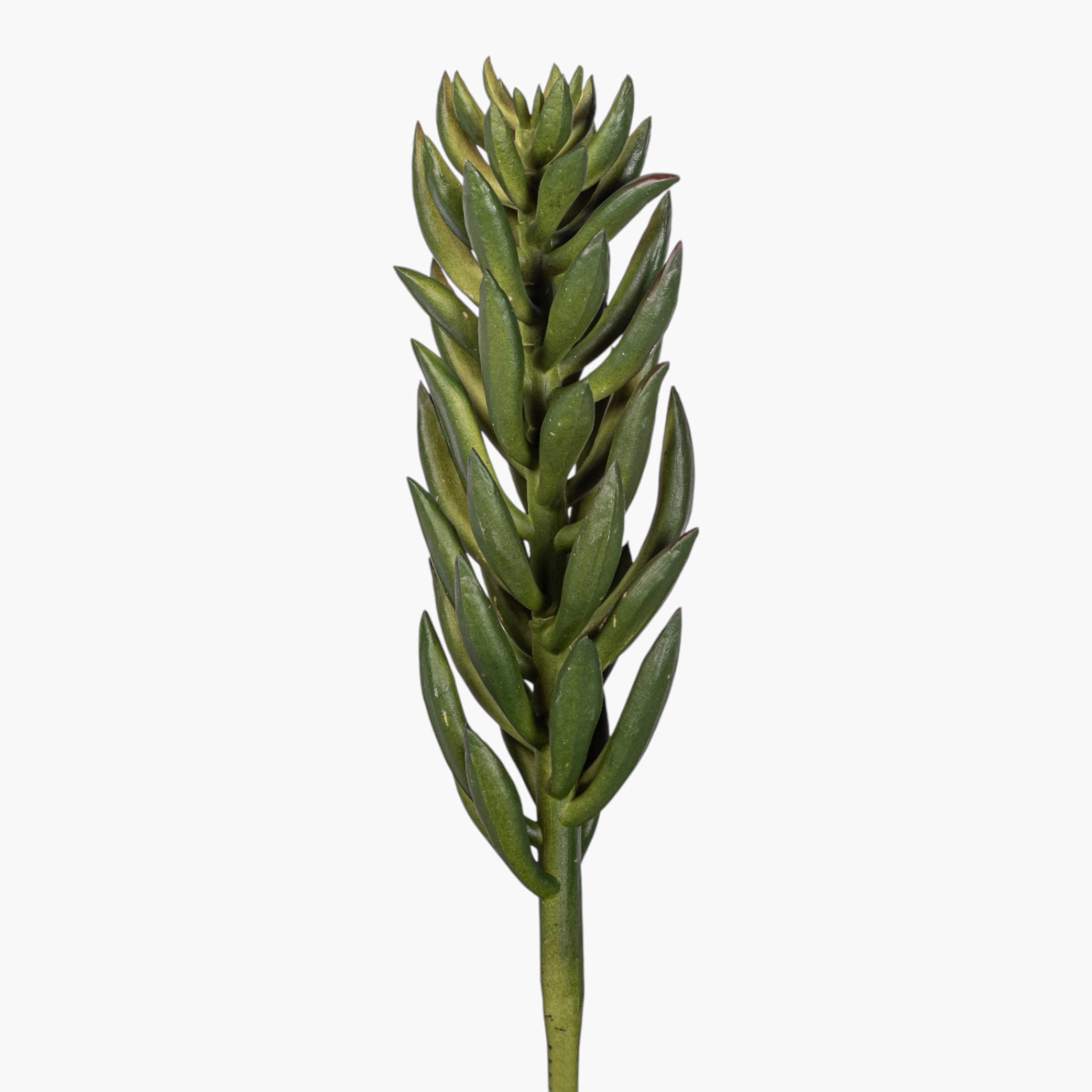 8" Succulent Stem SU1114