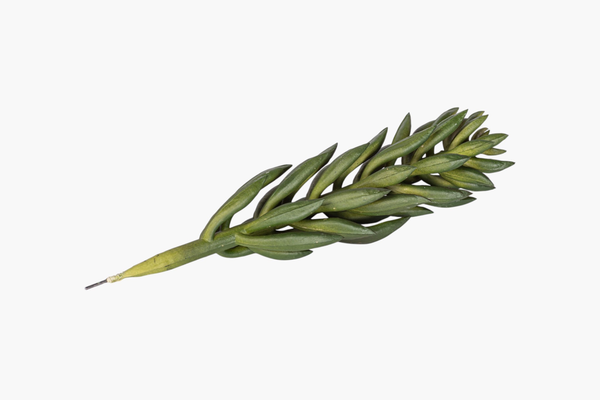 8" Succulent Stem SU1114