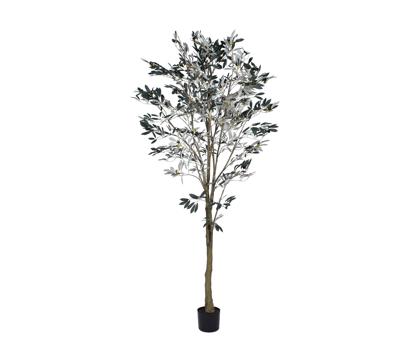 7’ Olive Tree FP1263