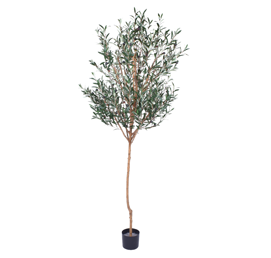 7’ Wild Olive Tree-UV Protected FP1269UV