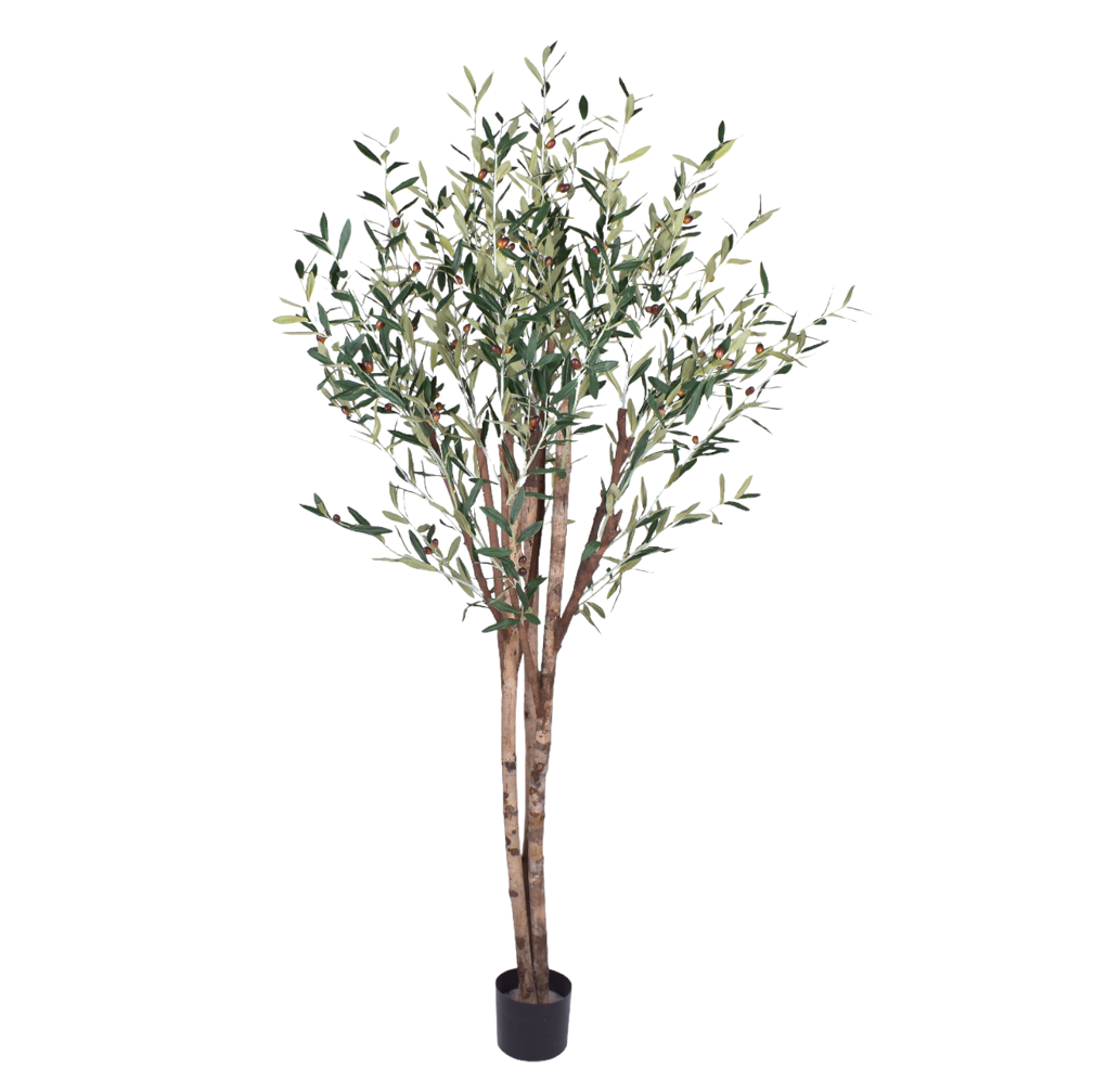 6.5’ Olive Tree- UV Protected FP1266UV