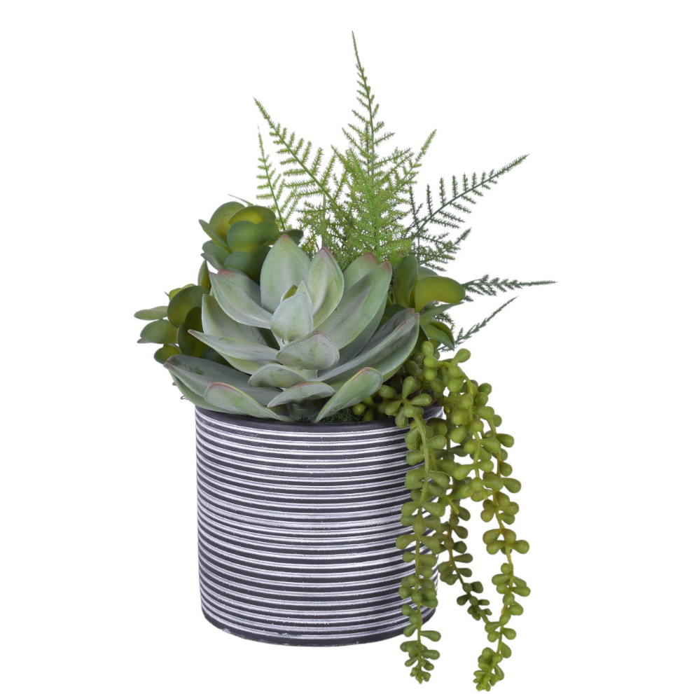 6" Stella Pot with UV Protected Succulents   AR1796UV