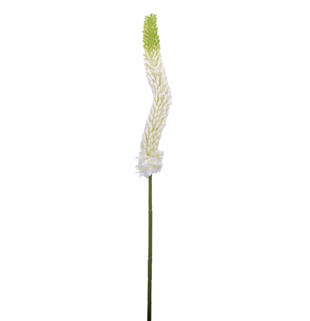 34" UV Protected Foxtail Lily ST1164UV