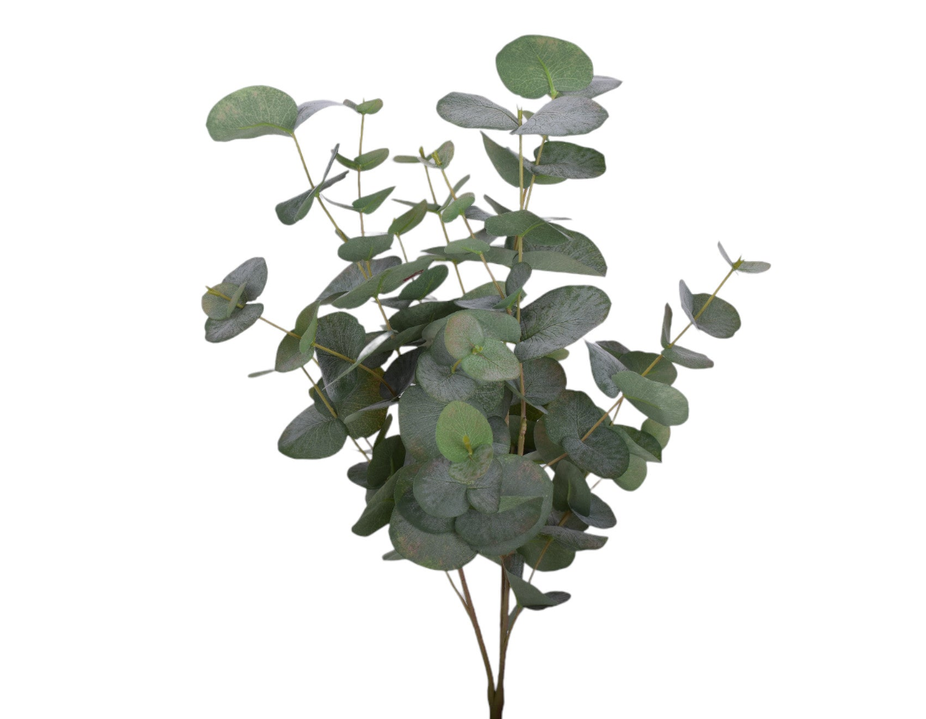 24" UV Protected Eucalyptus Stem ST1166UV