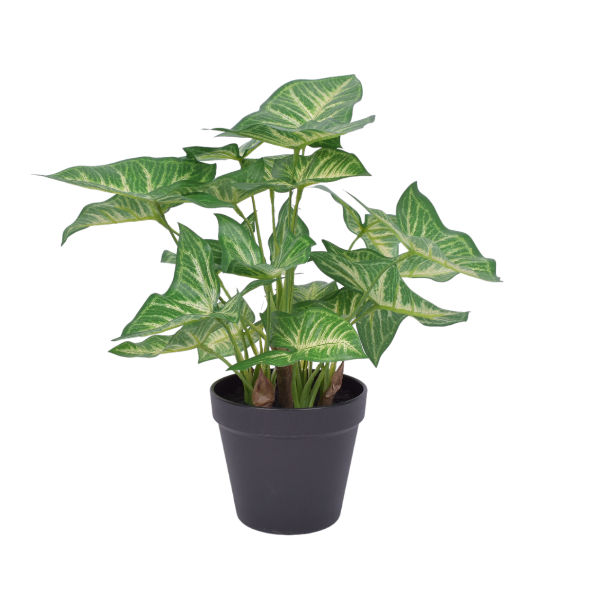 13" Potted Anthura Bush -UV Treated PP1048