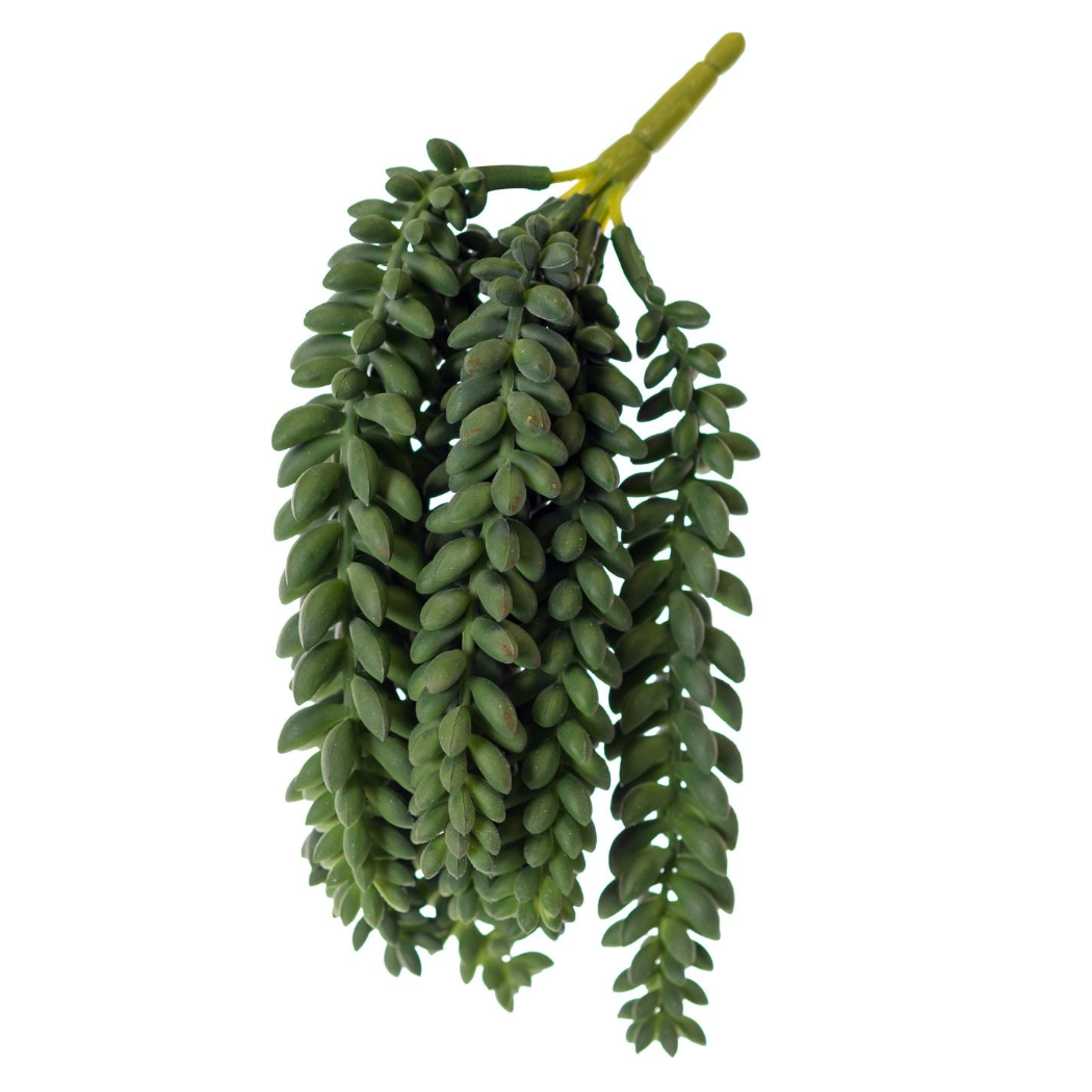 10" Donkey Tail SE1026