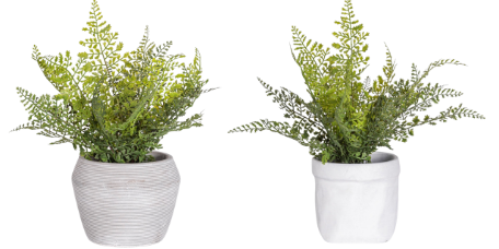 15" Fern Arrangement AR1931