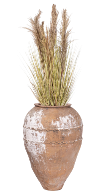 5' Pampas Grass in Turkish Pot | PC1481TURKTMD